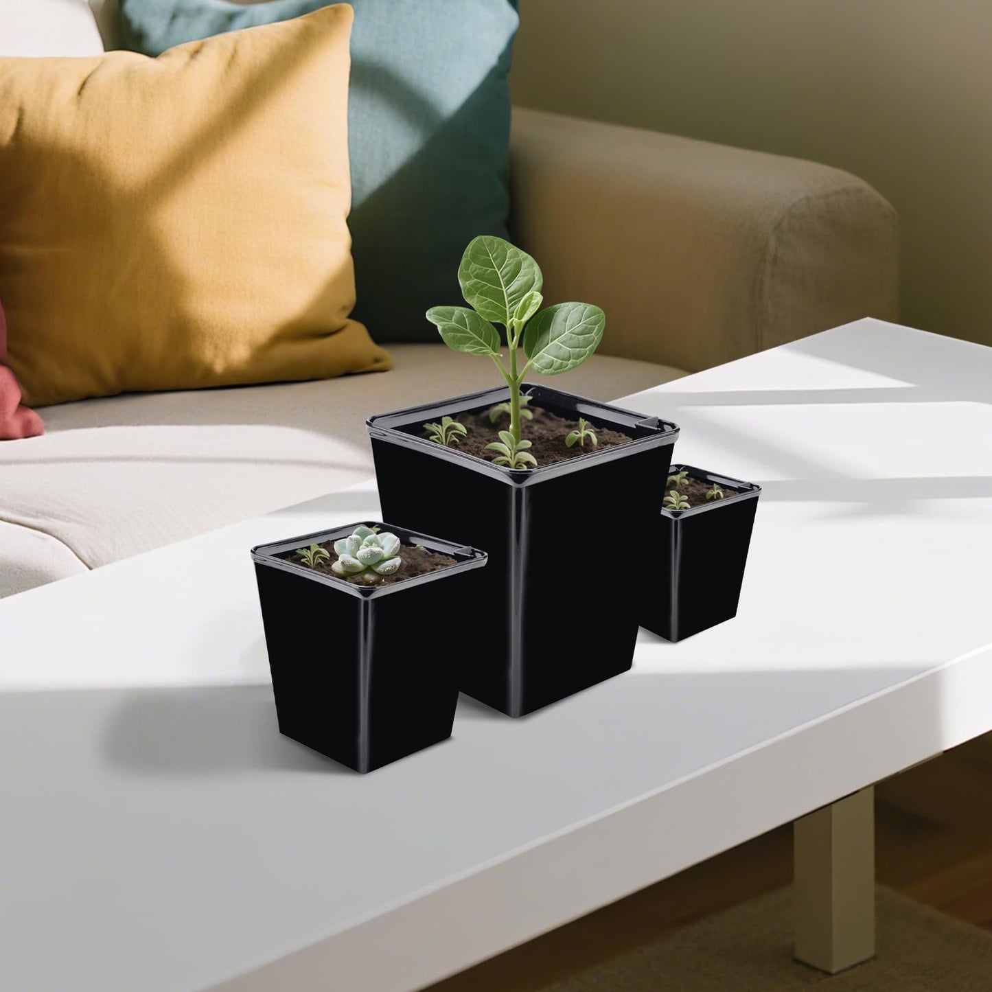 YITOBA 3 Sizes Clear Self Watering Pots Set, Small Flower Pots for Indoor Plants with Visible Reservoir and Wick Rope, Plastic Indoor Planter for Seedlings, Orchid African Violet (Black)