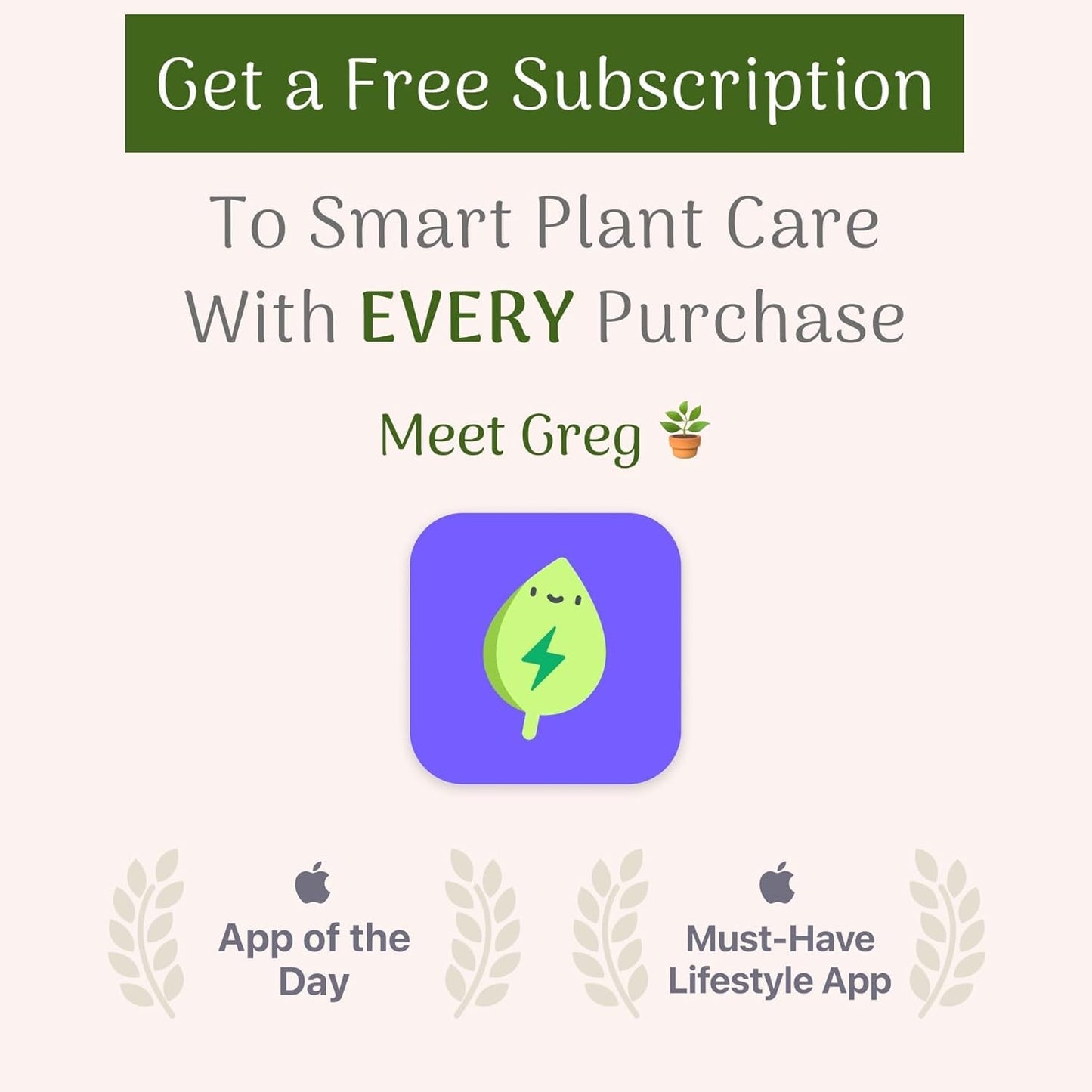 American Plant Exchange Monstera Adansonii – Live 8-Inch Hanging Basket Swiss Cheese Vine Plant, Easy-Care Trailing Houseplant, Low-Maintenance Air Purifying Plant for Home, Office & Garden Décor