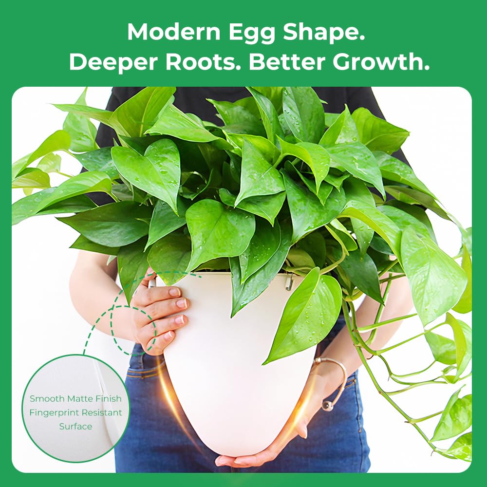 Self-Watering Hanging Planter: 6 Inch Inner Diameter, Indoor Outdoor, Stainless Steel Wire Hanger & Drip Tray, Pothos Philodendron Fern Herbs Scindapsus, Modern Minimalist Design (3 Pack, White)