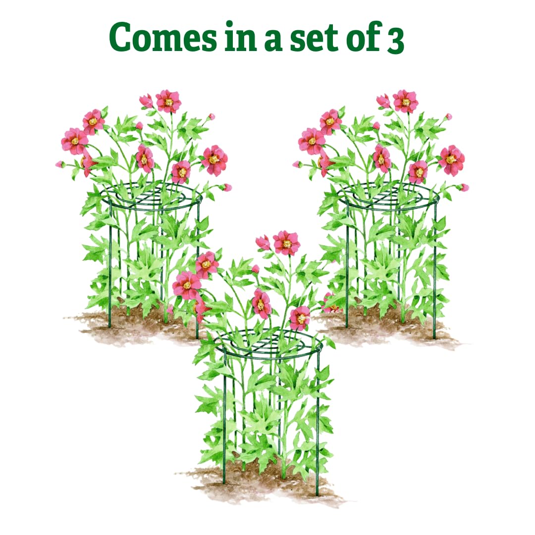 Gardener's Supply Company Grow Through Plant Support | Sturdy Metal Support Frame for Peonies, Roses Flower Garden Cage | Wide Top Rings Bouquet Shape |18" D X 24" H (Set of 3)