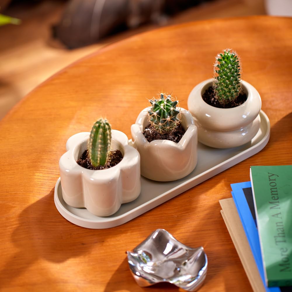 Rooted 2 inch Mini Planter Trio – Set of 3 Glossy Ceramic Pots with Drainage Holes and Silicone Tray for Furniture Protection, Ideal for Compact Spaces, Ideal for 2 inch Plants, Oat Beige