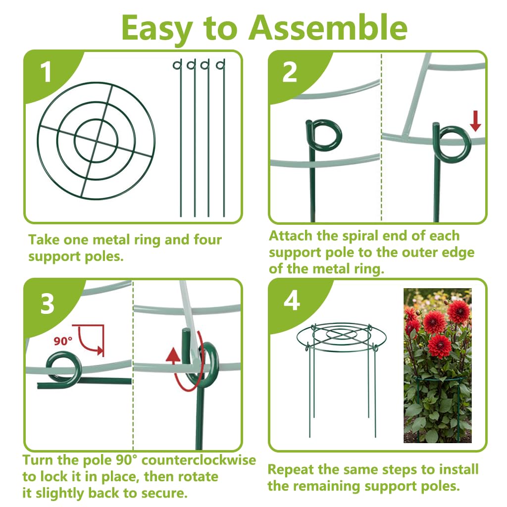 DAYUMKOU 8 Pack Peony Cages and Supports, 11.5" D x 16" H Plant Supports for Outdoor Plants, Heavy Duty Metal Peony Support Cage Flower Support Rings for Rose Hydrangea Strawberry