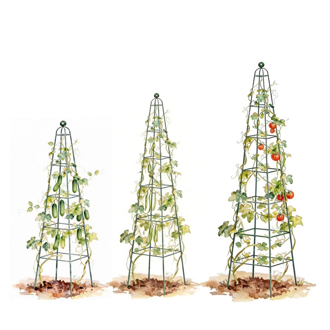 Vego Garden 6.5 ft Pyramid Obelisk Garden Trellis, Metal Rustproof Plant Support Rose Trellis, Tower Potted Cages for Flowers Fruits Vegetable Vines Indoor & Outdoor