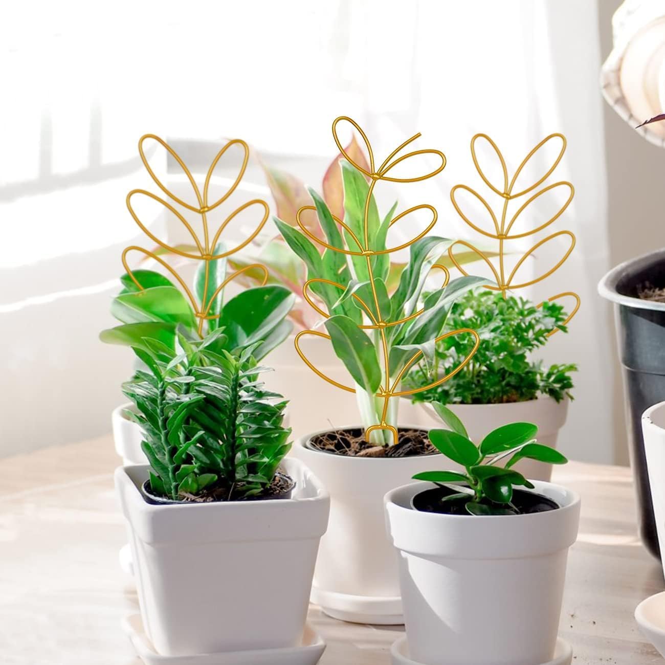 Simabsie 8 Packs Gold Metal Wire Trellis for Potted Plants, Climbing Plants, Indoor Houseplant Lover, Hoya, Pothos, Flower, Monstera