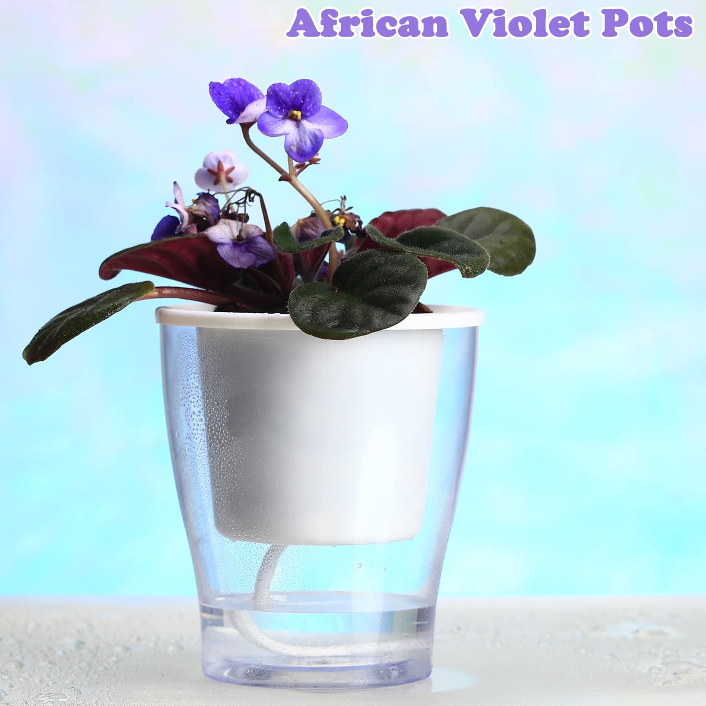 DEELF OUTLET 8-Pack 5.1 Inches Clear Self-Watering Planters Medium African Violet Pots Plastic Wick Flower Plant Pots for Indoor Plants, Spider Plant, Orchid Pot, Clear and White