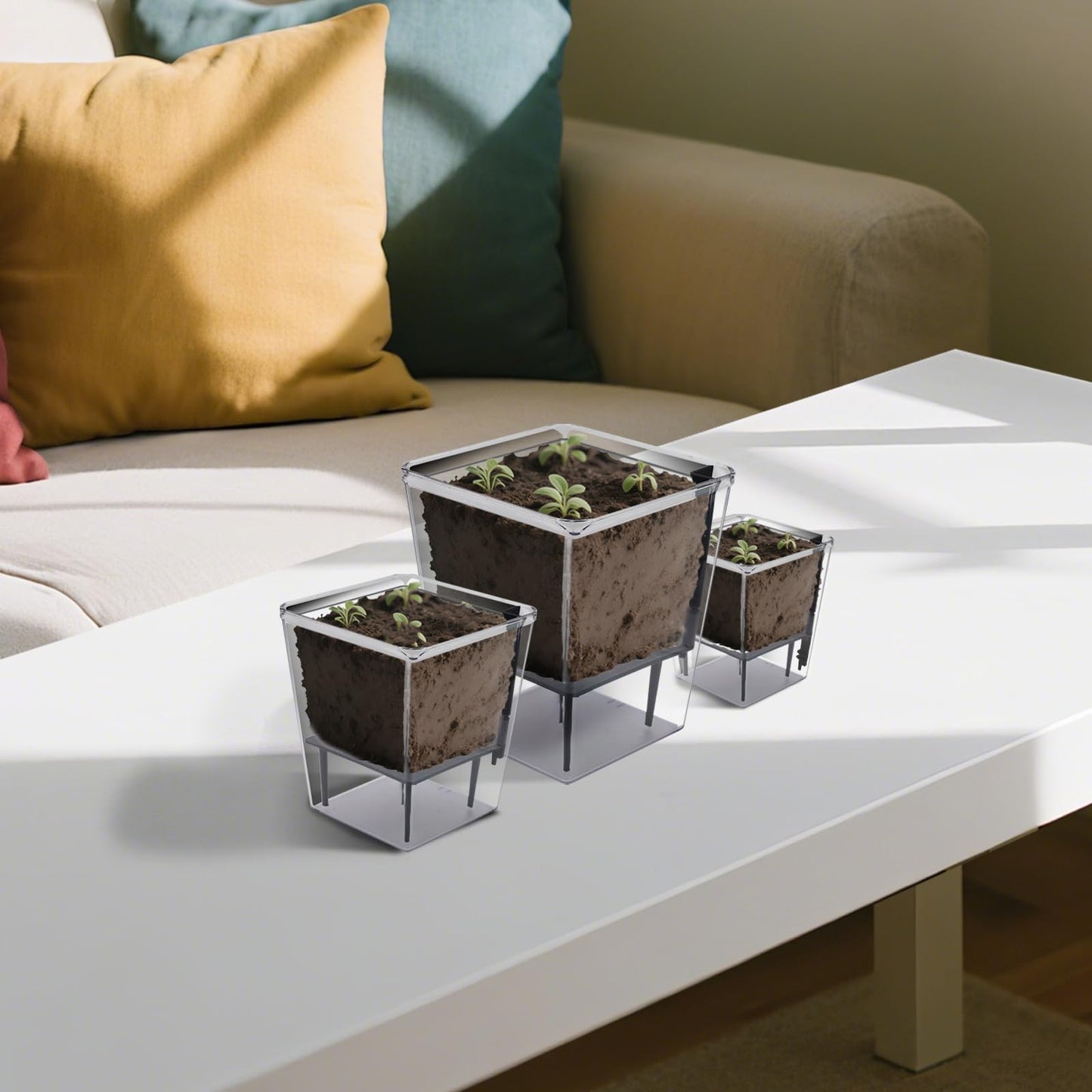 YITOBA 3 Sizes Clear Self Watering Pots Set, Small Flower Pots for Indoor Plants with Visible Reservoir and Wick Rope, Plastic Indoor Planter for Seedlings, Orchid African Violet (Clear)