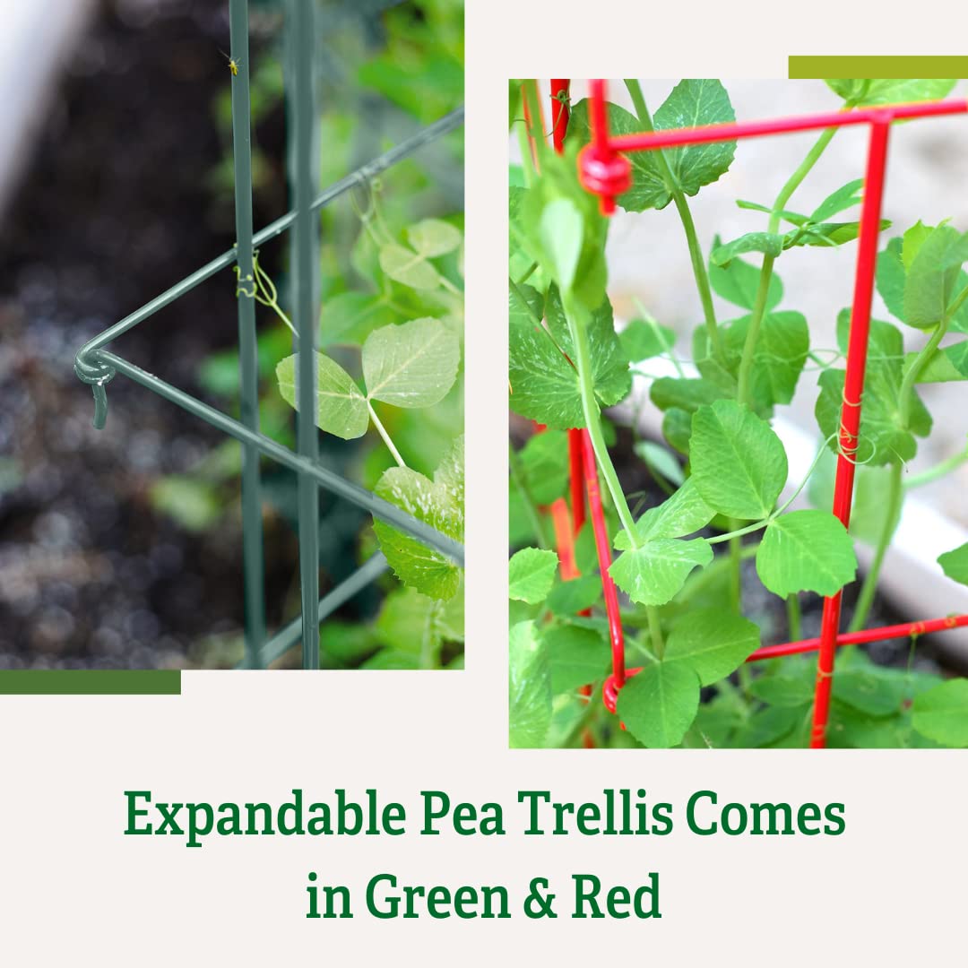 Gardeners Supply Company Sturdy Expandable Tall Pea Trellis for Climbing Plants | Multi-Use Heavy Duty Outdoor Garden Peas, Tomato, Cucumber Steel Plant Support | 9'-8" L x 37" H - Red