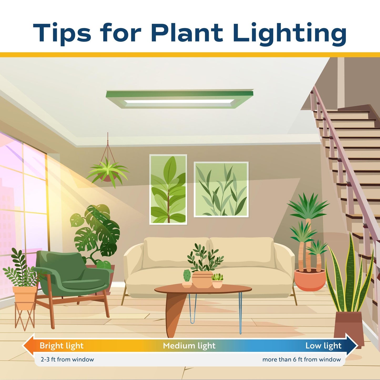 Costa Farms Money Tree Live Plant | 8-10 Inches Tall | Easy to Grow Indoor Houseplant in 2.5 Inch Plant Pot | Live Bonsai Home, Office, or Room Decor | Garden, Birthday, and Housewarming Gift