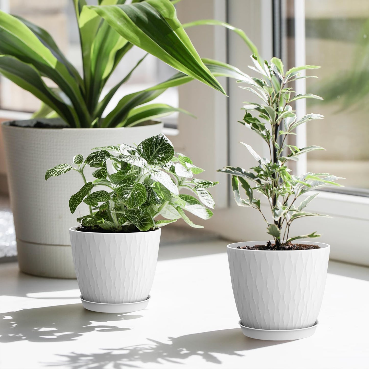 WSMKSZ 6 inch Flower Pots, 5 Pack Plant Pots with Drainage Holes and Saucers for Indoor Plants, Plastic Planters with Water Ripple for Small Garden House Plants, Nursery Pots for Succulent, White