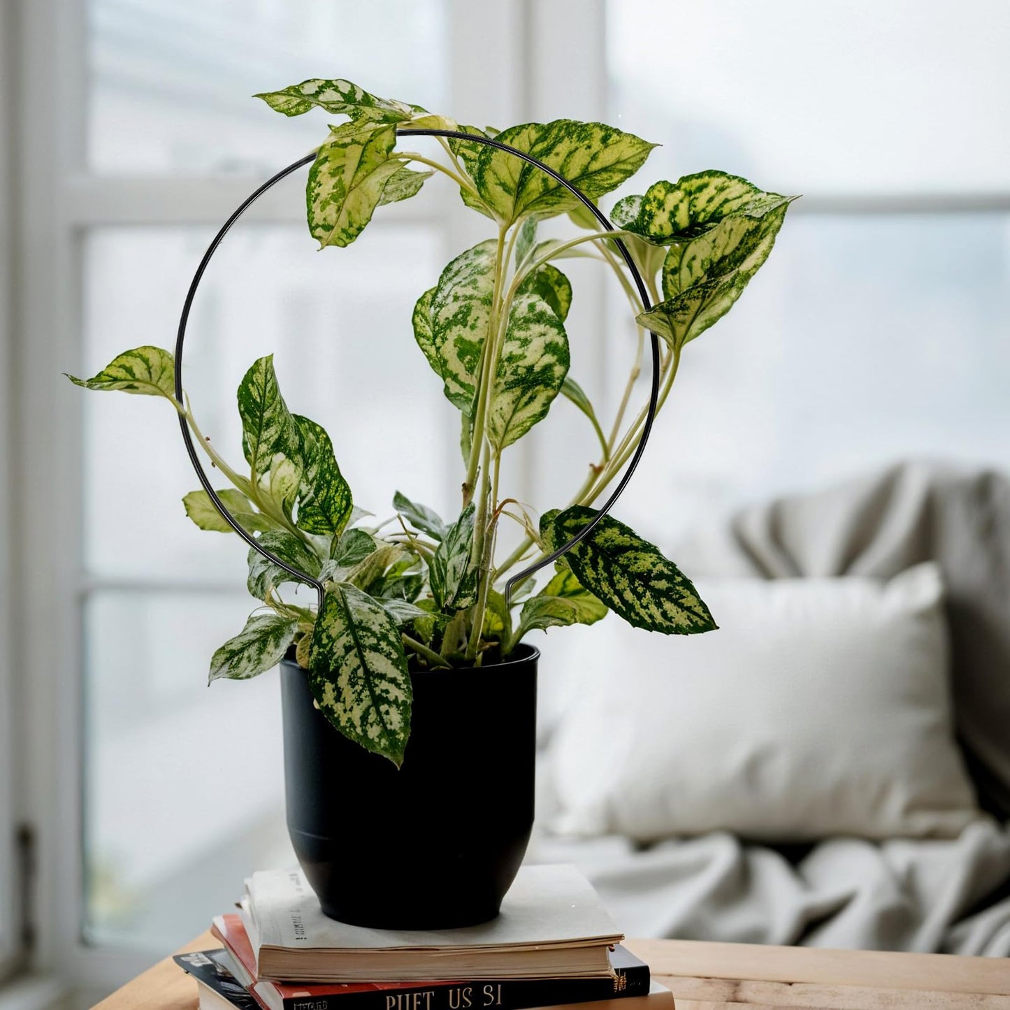 10 Pcs Small Trellis for Climbing Plants, Indoor Outdoor Plant Trellis, Circle Trelli Plant Supports for Potted Plants Vines Hoya Flower Topiary Frames
