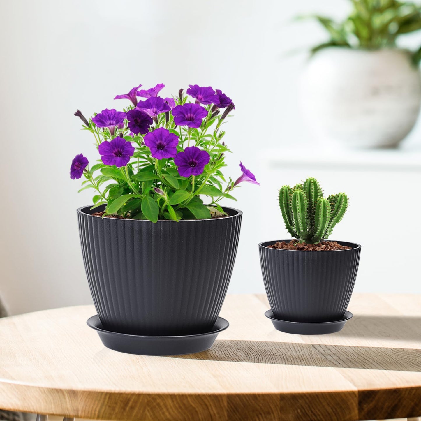 Meowell 7/6.2/5.5/5/4.5/4 inch Flower Pots, 6 Pack Plant Pots for Small Indoor Outdoor Plants, Plastic Planters with Drainage Holes and Saucers for Garden Succulent House Plants, Black