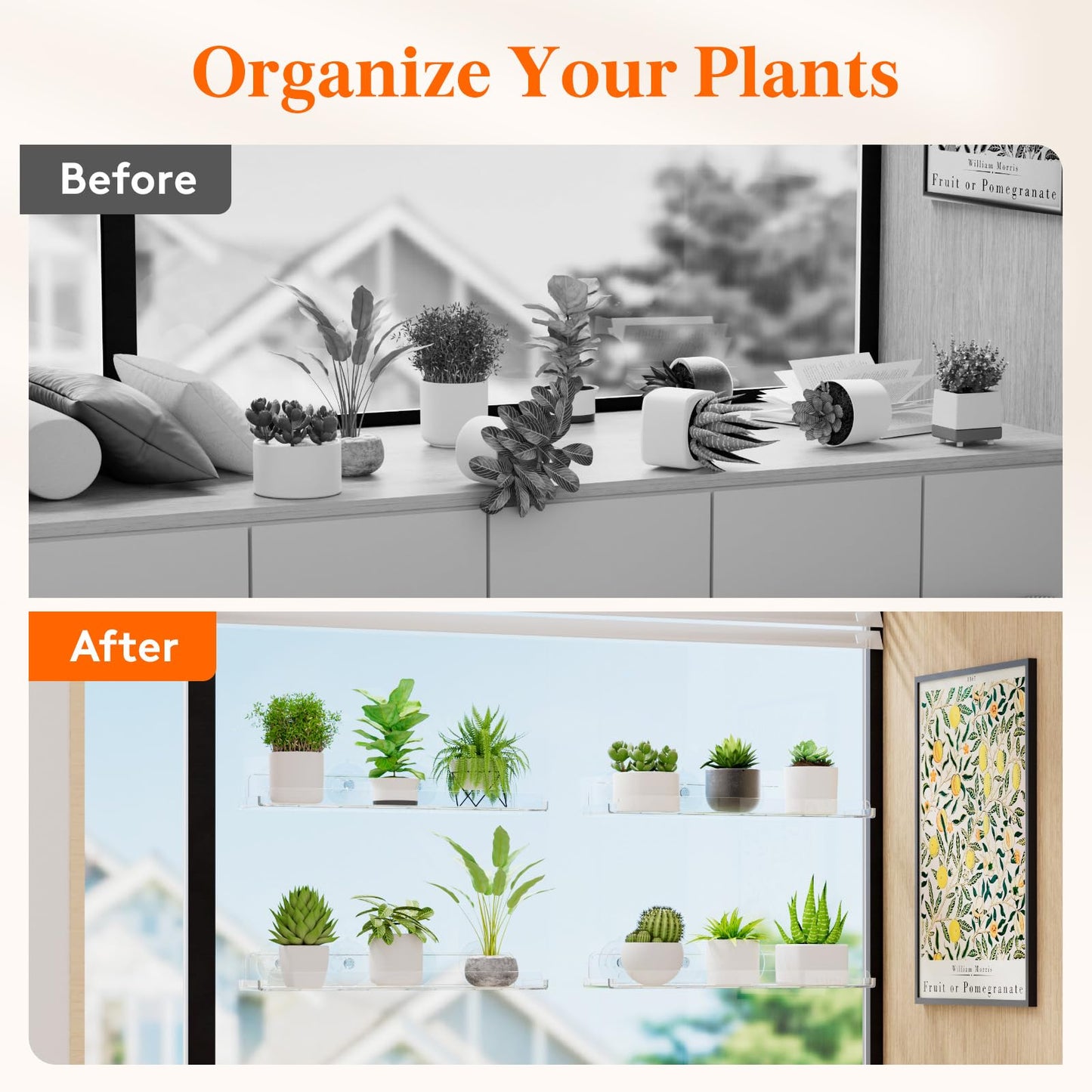 Lifewit Window Plant Floating Shelves 14.6x3.6, 3 Pack Acrylic Suction Cup Shelf, Window Sill Extender for Indoor Succulent Plants, Micro Greens, Seed Starter Pots, Herb Planters 37 x 9 cm/14.6x3.6