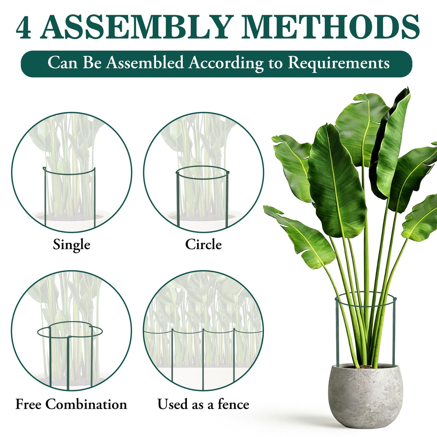 6 Pack 24 Inch Tall Peony Cages and Supports, 10" W x 24" H Heavy Duty Plant Peony Support Cages, Half Round Peonies Ring Metal Plant Stakes for Outdoor Plants, Garden Vegetables & Flowers
