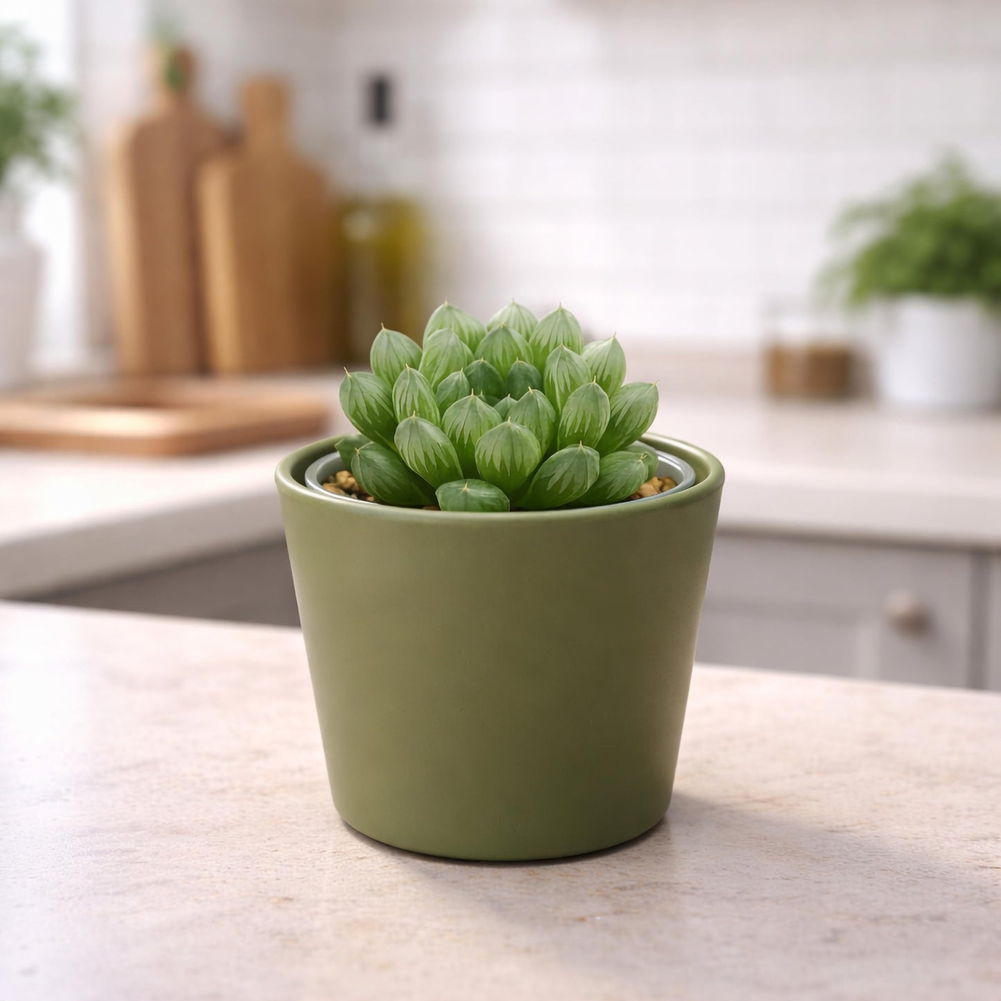Phoenix Vine 3.5 Inch Olive Plastic Cachepot with Clear Nursery Pot, Decorative Lightweight Planter Cover with Transparent Inner Pot for Indoor Houseplants, Pack of 4, 24-A-F-4