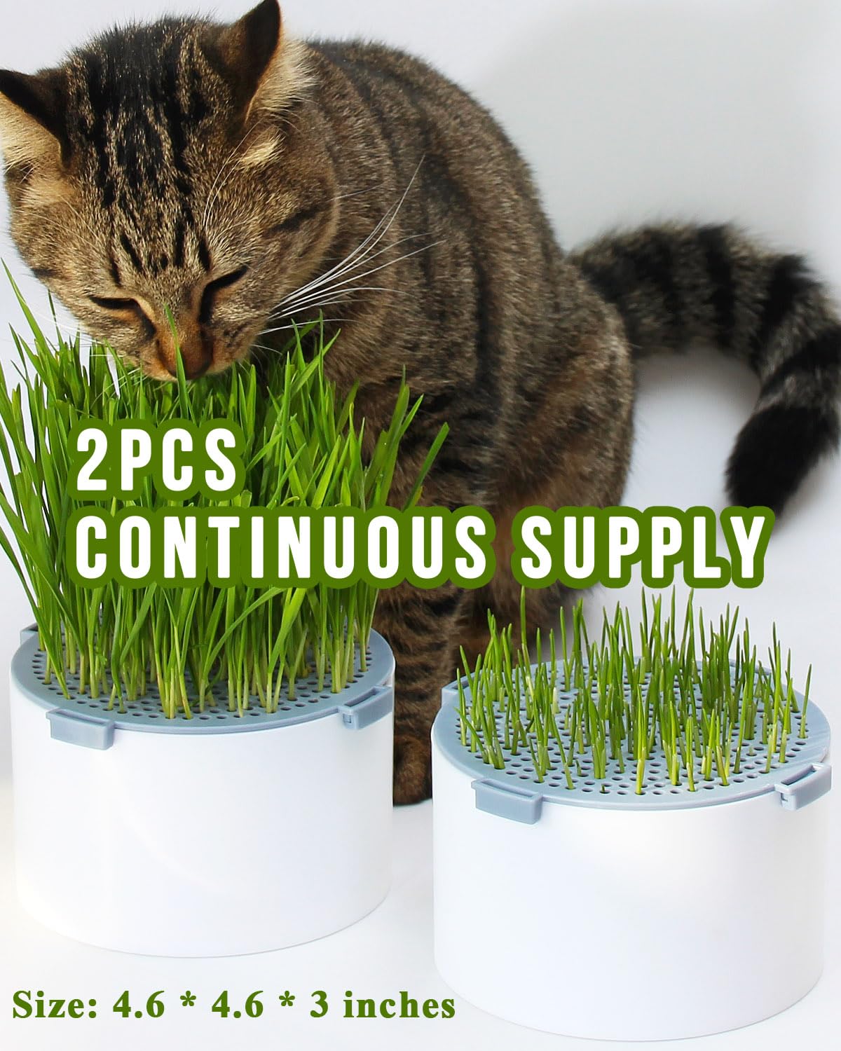 BENPIN 2Pcs Hydroponic Cat Grass Planter (no Seeds Included), Soil Free, Anti Digging, Anti Grass Uprooted, Wheatgrass Growing Kit, Cat Grass for Indoor Cats Pets (2)