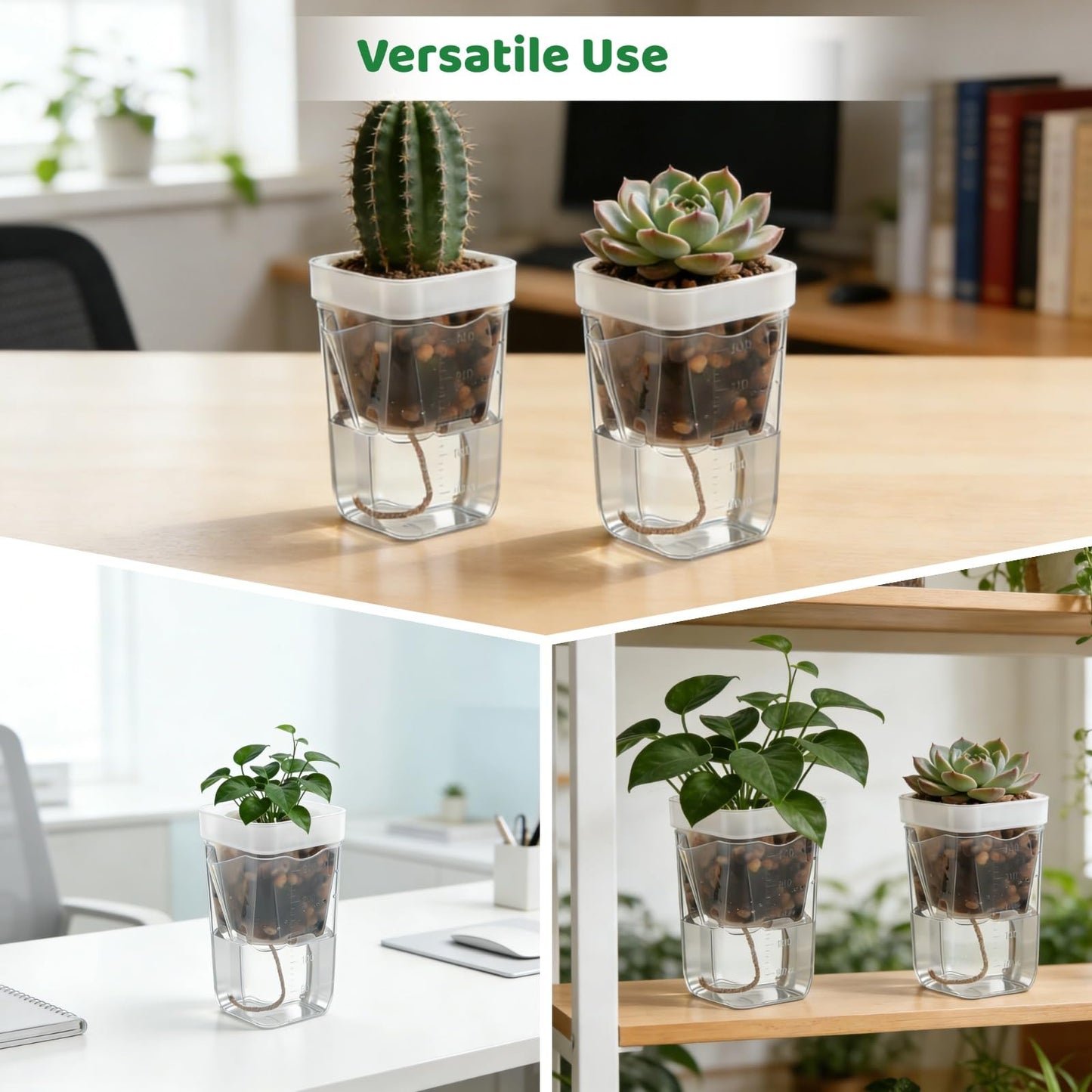 ZALIR 12 Pack Small Self Watering Pots Set, Mini Transparent Plastic Planters, Semi-Hydro Pots, 2.6 in Hydroponic Pots for Succulents, Seedlings, Herbs, Flowers