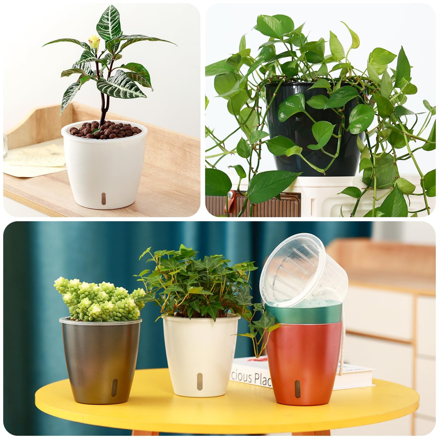 KvyusFlourish Self Watering Pots for Indoor Plants, 12-Pack 5'' Self Watering Planter with Drainage Holes, Small African Violet Pots with Water Level Indicator, Clear Wick Pot, Black