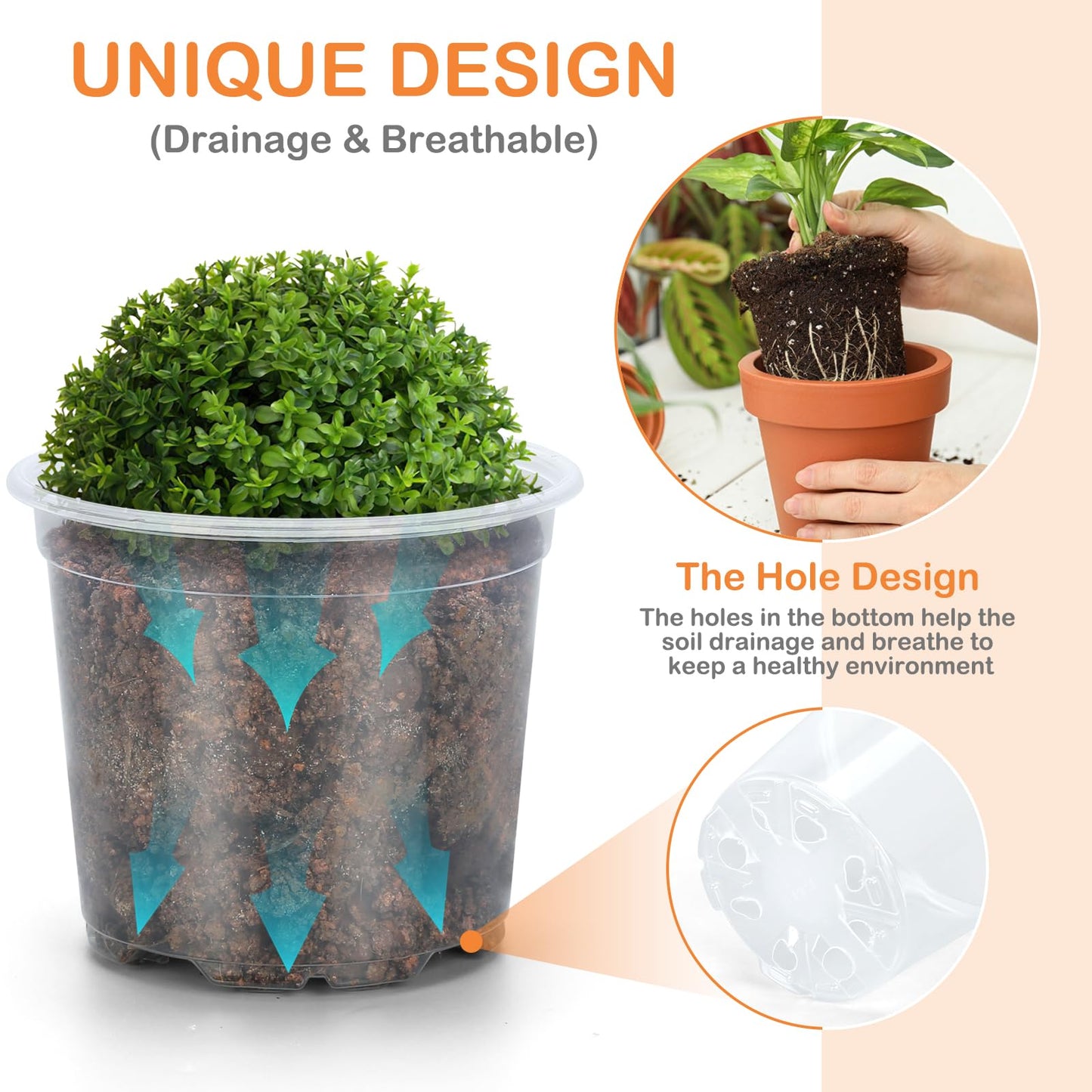 DUNPUTE 15 Pack Clear Nursery Pots with Drainage Holes, 3 Inch Seed Starting Plastic Plant Pots, Transparent Variety Pack Flexible Garden Pot for Outdoor Indoor (Clear, 3 Inch)