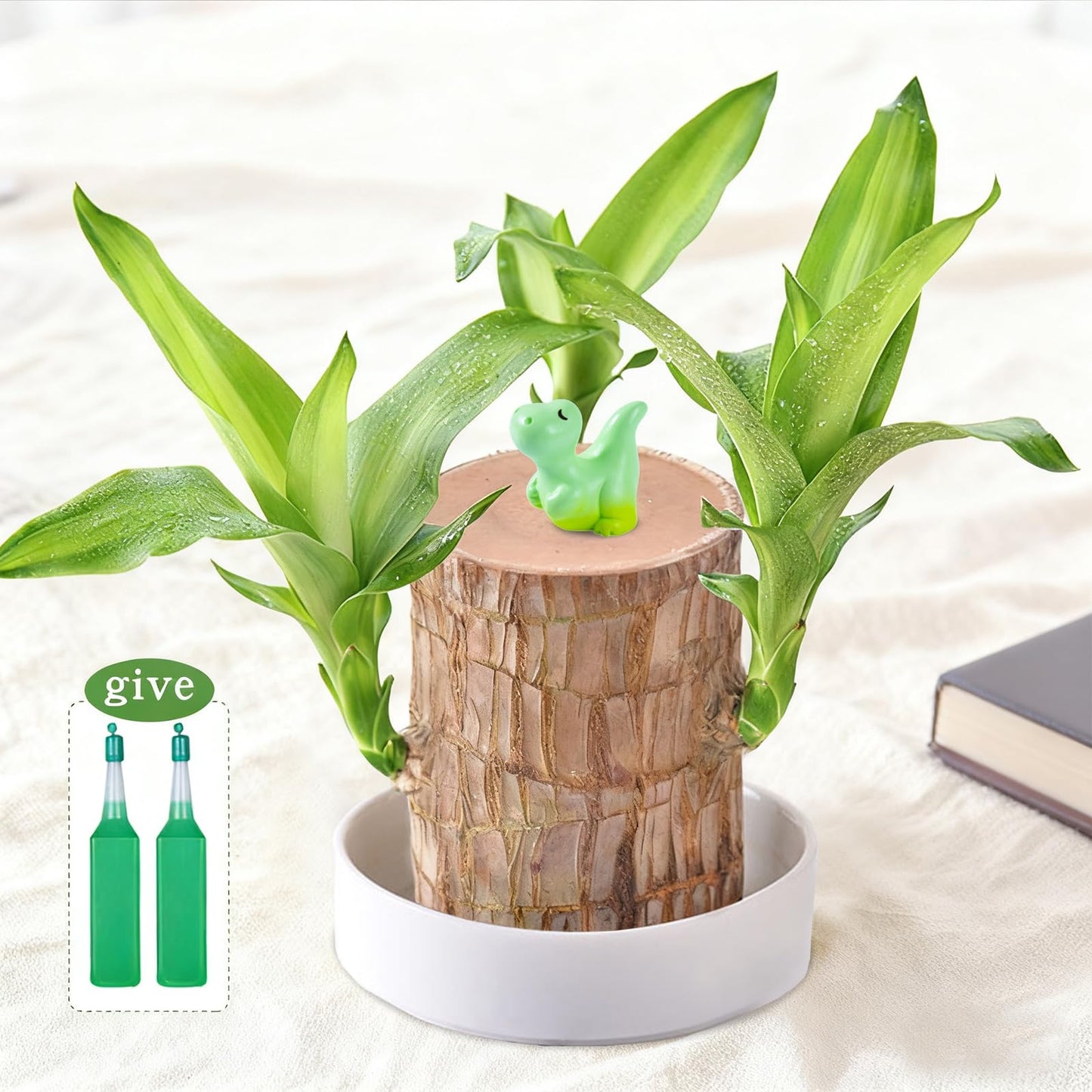 JJWYLTKB Brazilian Lucky Wood Plant,Fortune Brazil Wood Potted Plant with Dinosaur Figurine,Mini Brazil Decoration, Desk Decor for Home & Office Desktop Planter