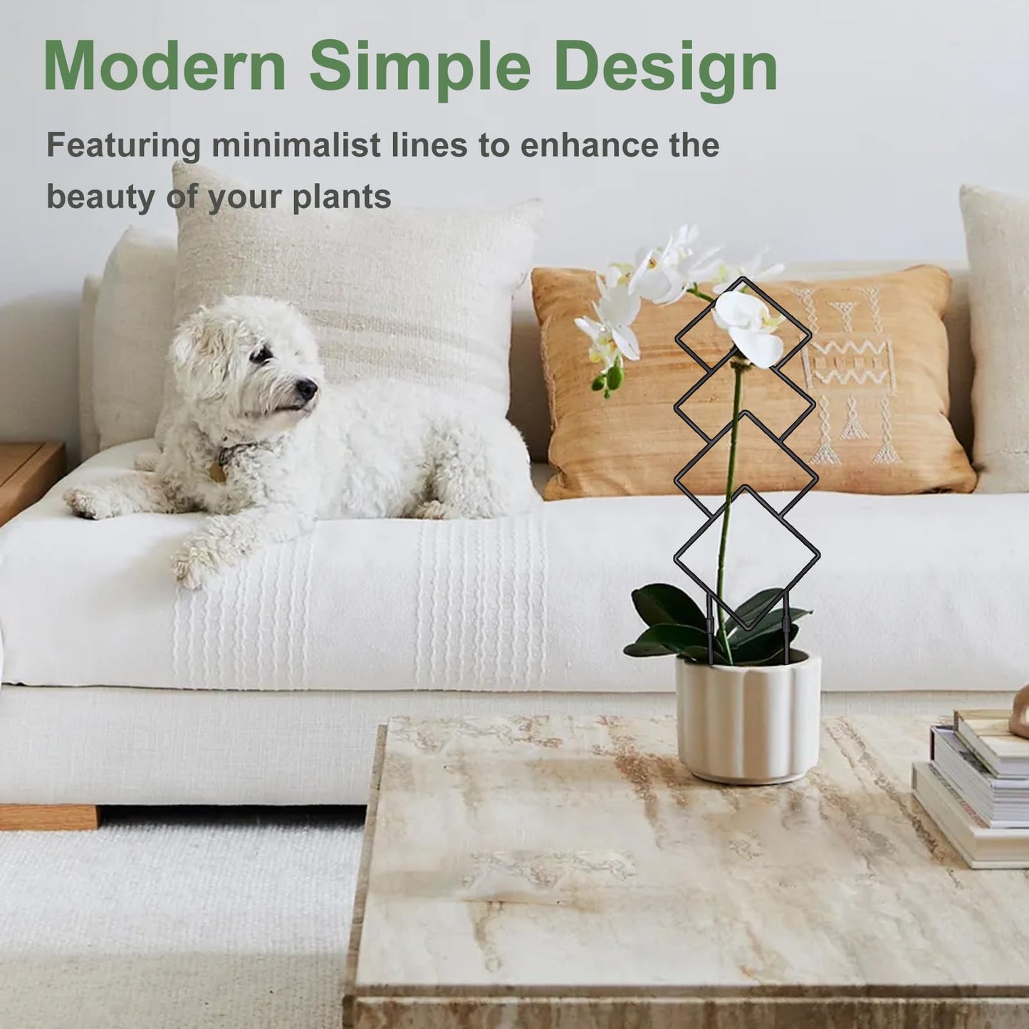 6(Six) Plant Trellis for Climbing Plants Indoor, 2(Two) Expandable Large Metal Trellis for Potted Plants and 4(Four) Trellis for Potted Plants