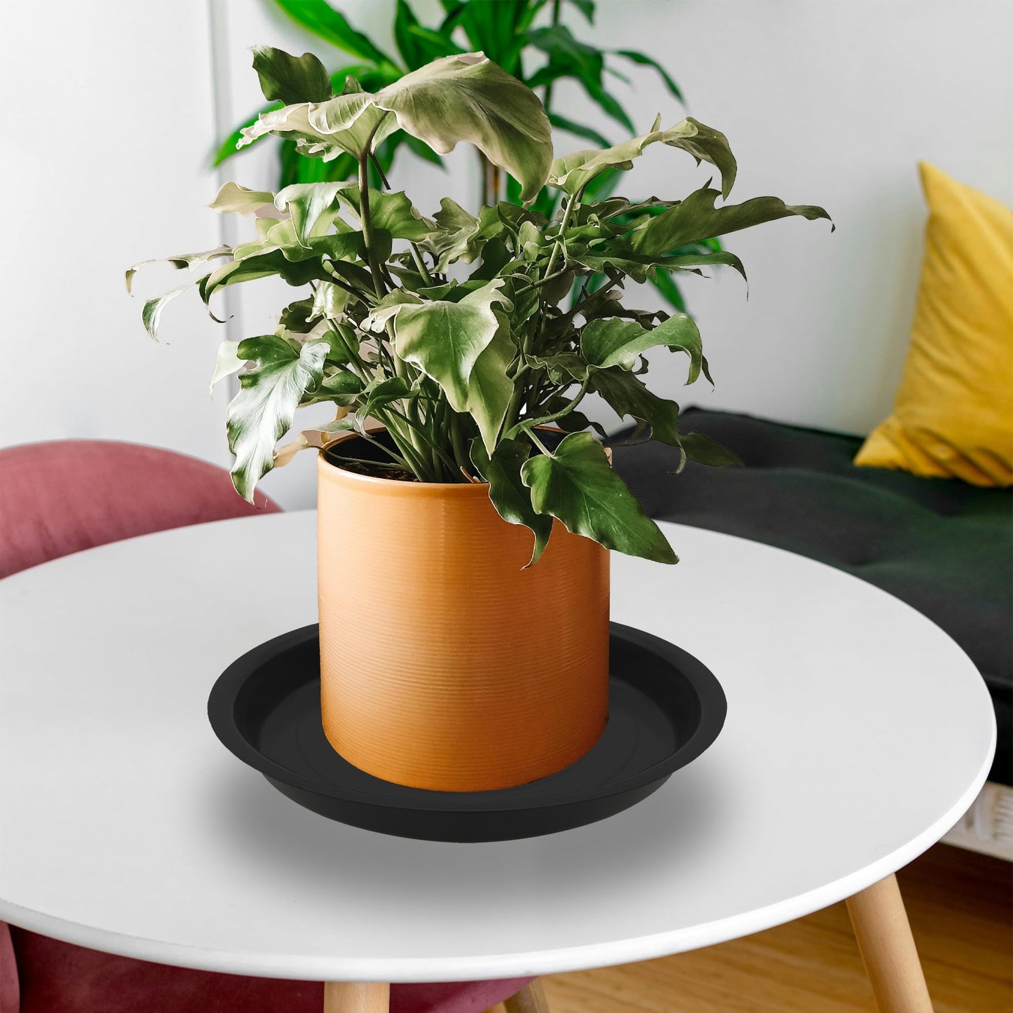 TNTIWQ 6 Pack 8 Inch Round Plant Saucers for Less 6.8 Inch Pot Indoors Outdoors Plant Trays for Pots Planter Saucer Plastic Plant Drip Tray Planter Water Tray for Potted Plants(Black, 8"(6pcs))