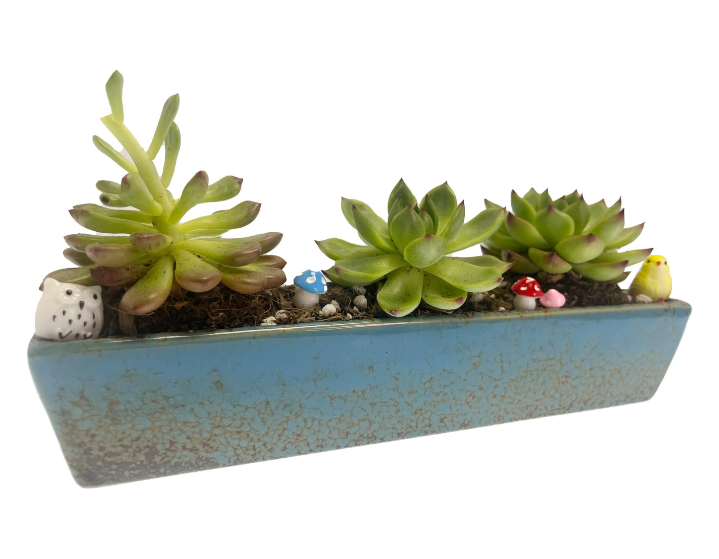 9.8 inch blue long rectangle Ceramic Succulent Planter Pot,one set of Mini Flower Plant Container with Bamboo Saucers. not include the plant.