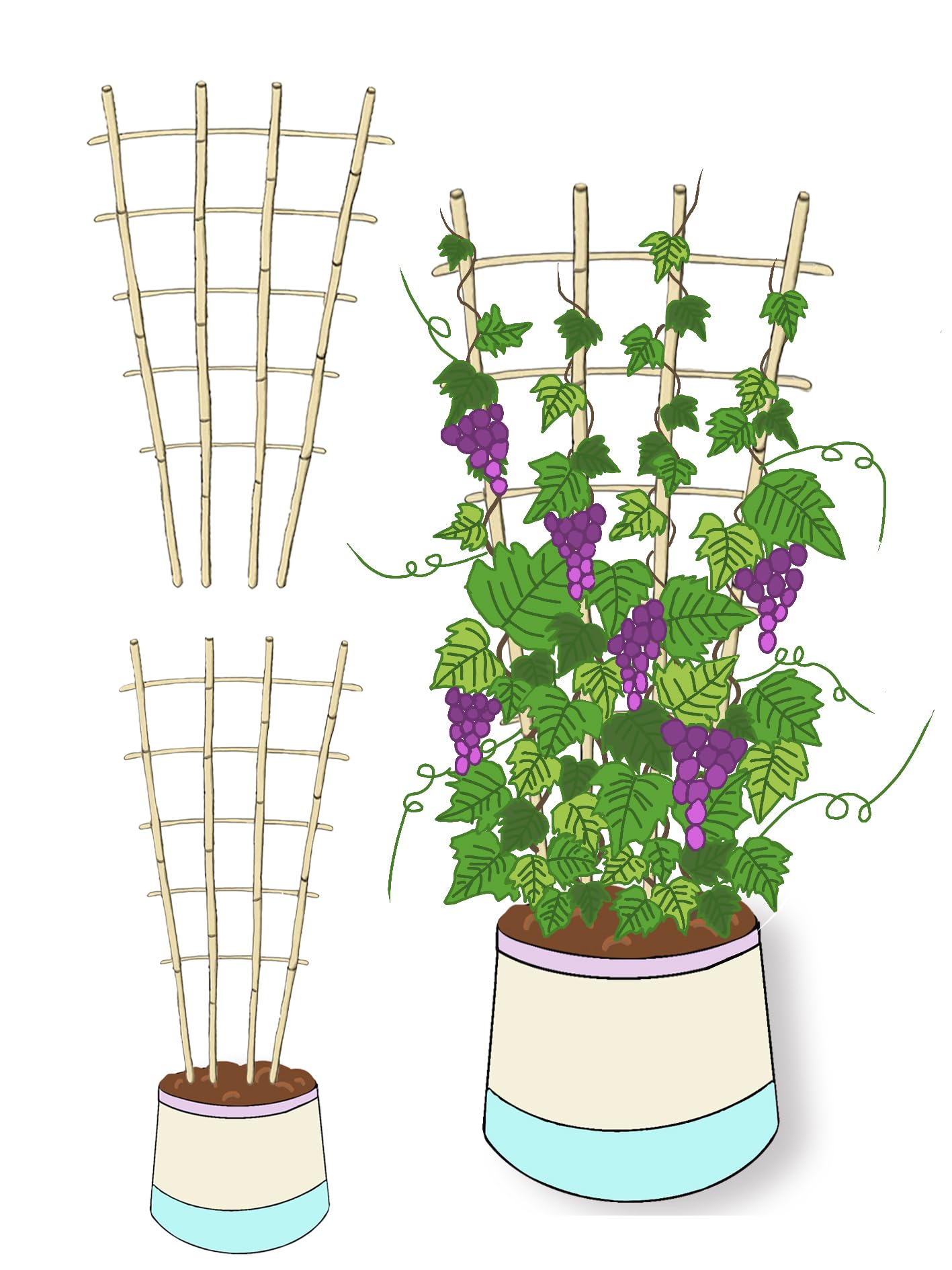 Natural Bamboo Trellis, 3Feet,3Pack,Fan-Shaped Plant Support Trellis for Outdoor and Indoor Potted Climbing Plants,Vegetables, Cucumber, Tomato, Hoya,