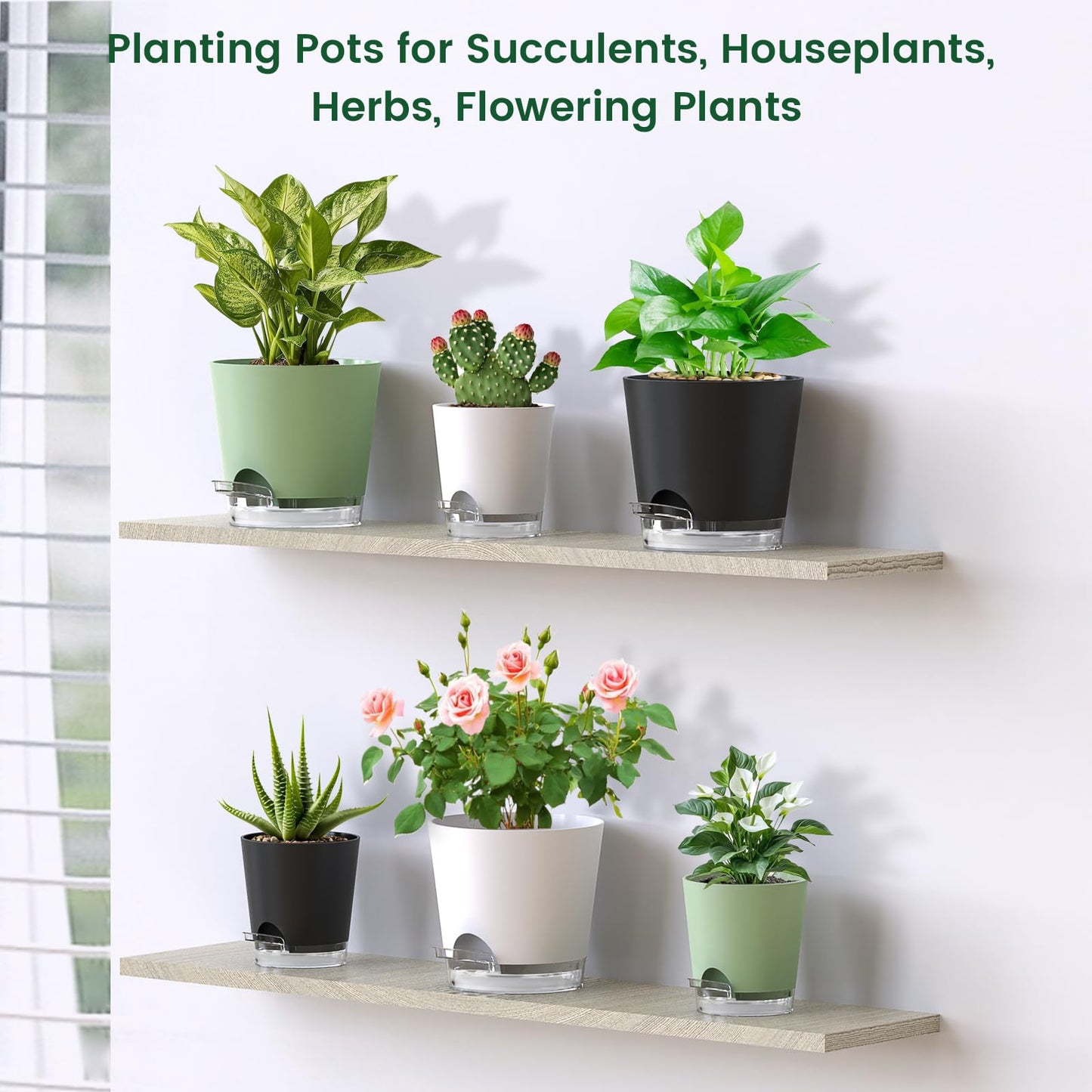 Meowell 6 inch Self Watering Pots for Indoor Outdoor Plants, 3 Pack Flower Plant Pots with Drainage Holes and Clear Reservoirs, Visible Water Level, Plastic Planters with Wicking Rope, White