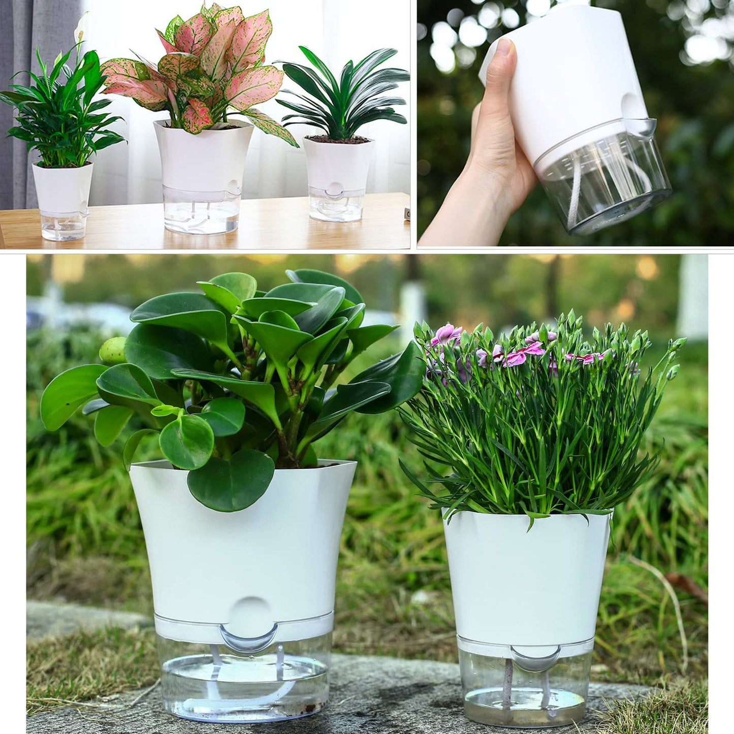10-Pack 6" Clear Self Watering Pots for Indoor Plants Large Hexagon Self-Watering Planters Orchid Pots Plastic Wick Flower Plant Pots for African Violet, Spider, Herbs, Home Decor, White and Clear