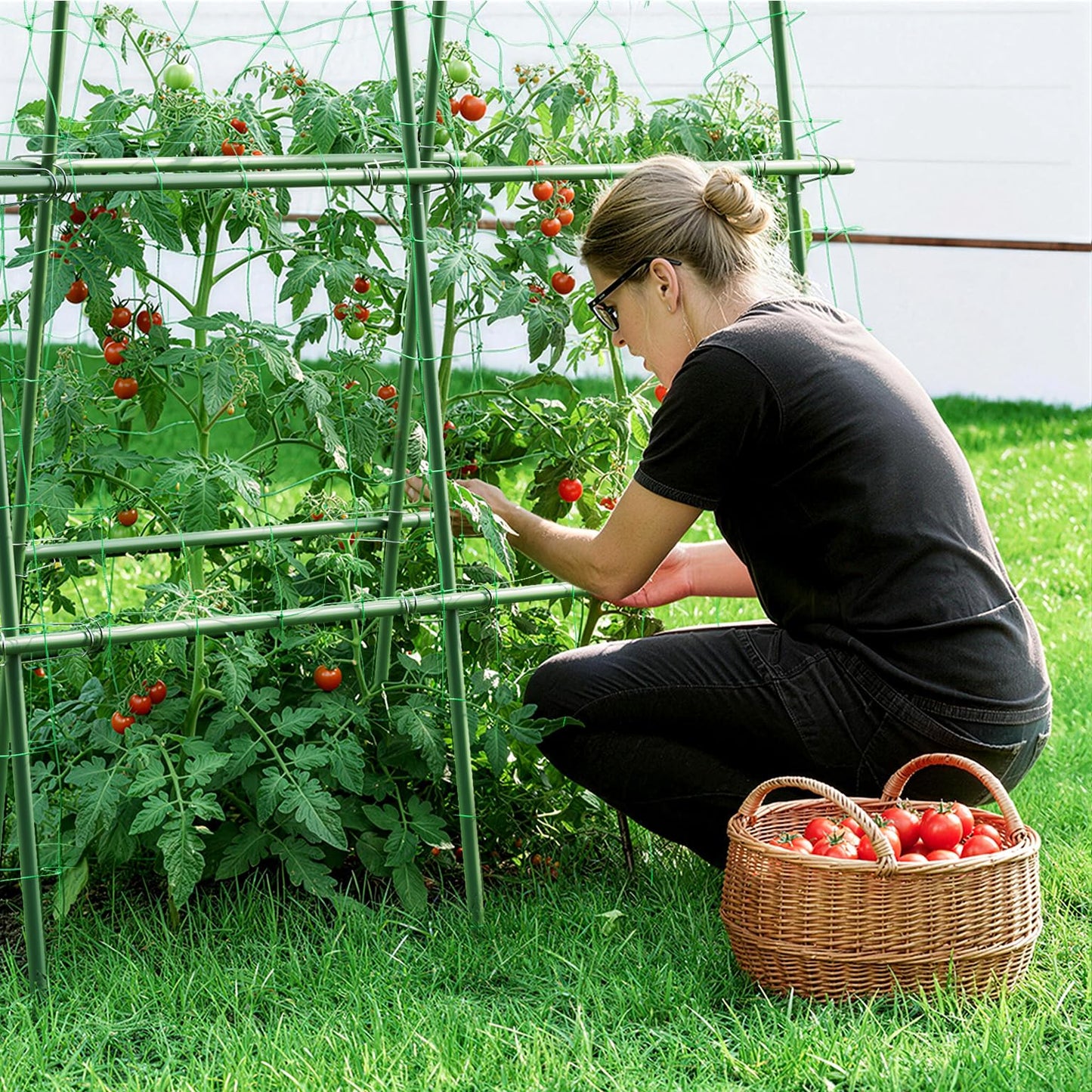 HIRALIY Cucumber Trellis for Climbing Plants Outdoor, 5.25ft Tall Heavy Duty Metal Garden Arch Trellis, Rustproof Plant Support Tunnel for Tomato, Grape, Bean, Raised Bed and Vegetable Gardens, Green