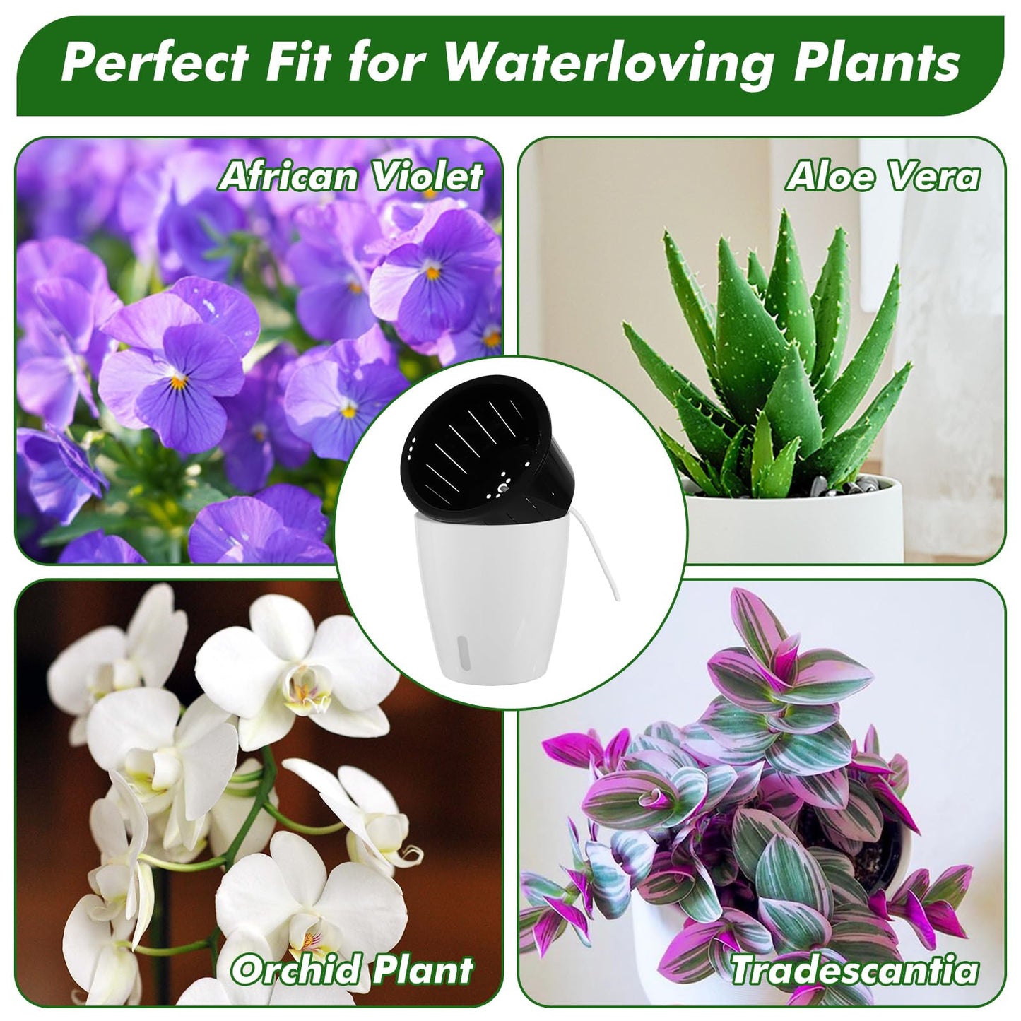 Planterhoma 5 Inch Self Watering Pots for Indoor Plants, 6 Packs African Violet Pots with Indicator, Black Wick Pot with Drainage Holes, Self Watering Planters for Orchid, Devil's Ivy, White
