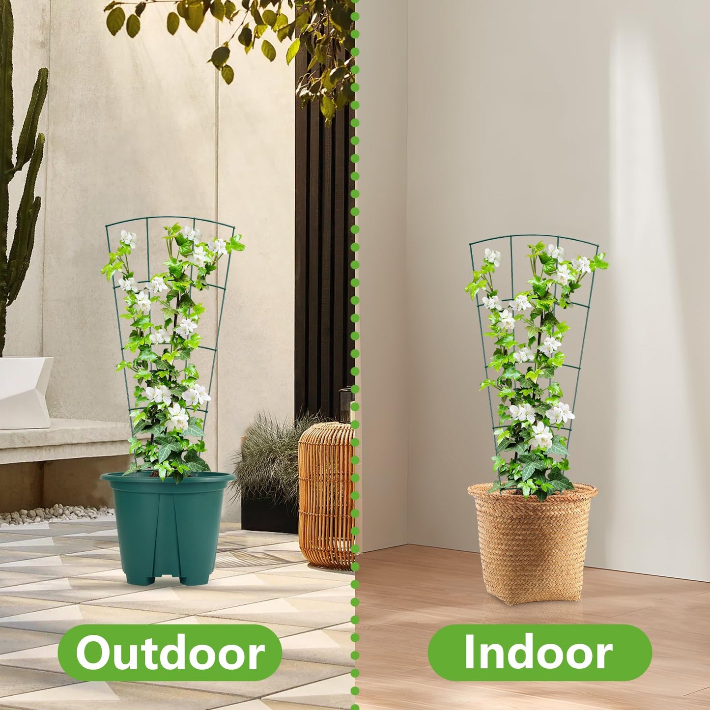 SUMGROW 6-Pack Indoor Plant Trellis - 24 Inches, Heavy-Duty Metal for Climbing Houseplants, Flowers, Vines, and Ivy