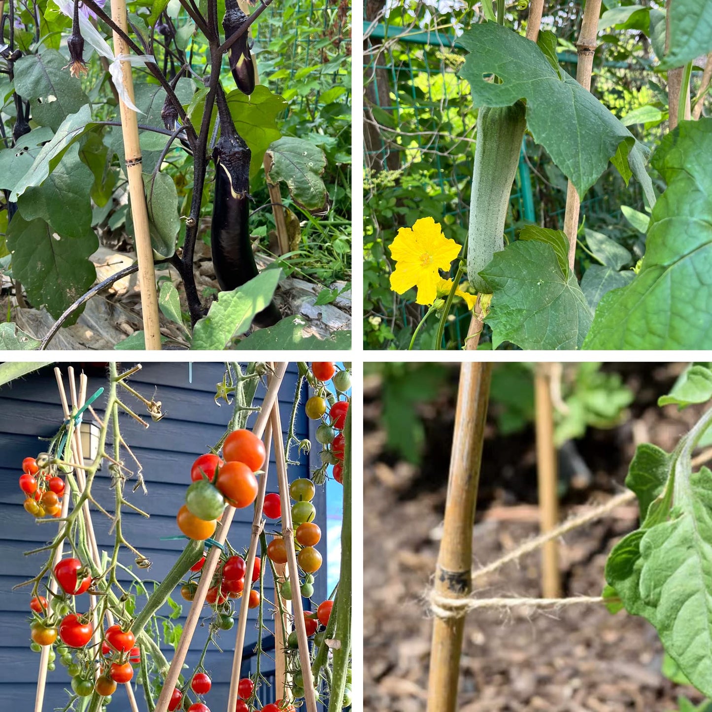 Cambaverd Bamboo Stakes 7 Feet, Natural Plant Stakes for Tomatoes, Climbing Plants Support, Tall Garden Stake - 15 Pack Bamboo Poles