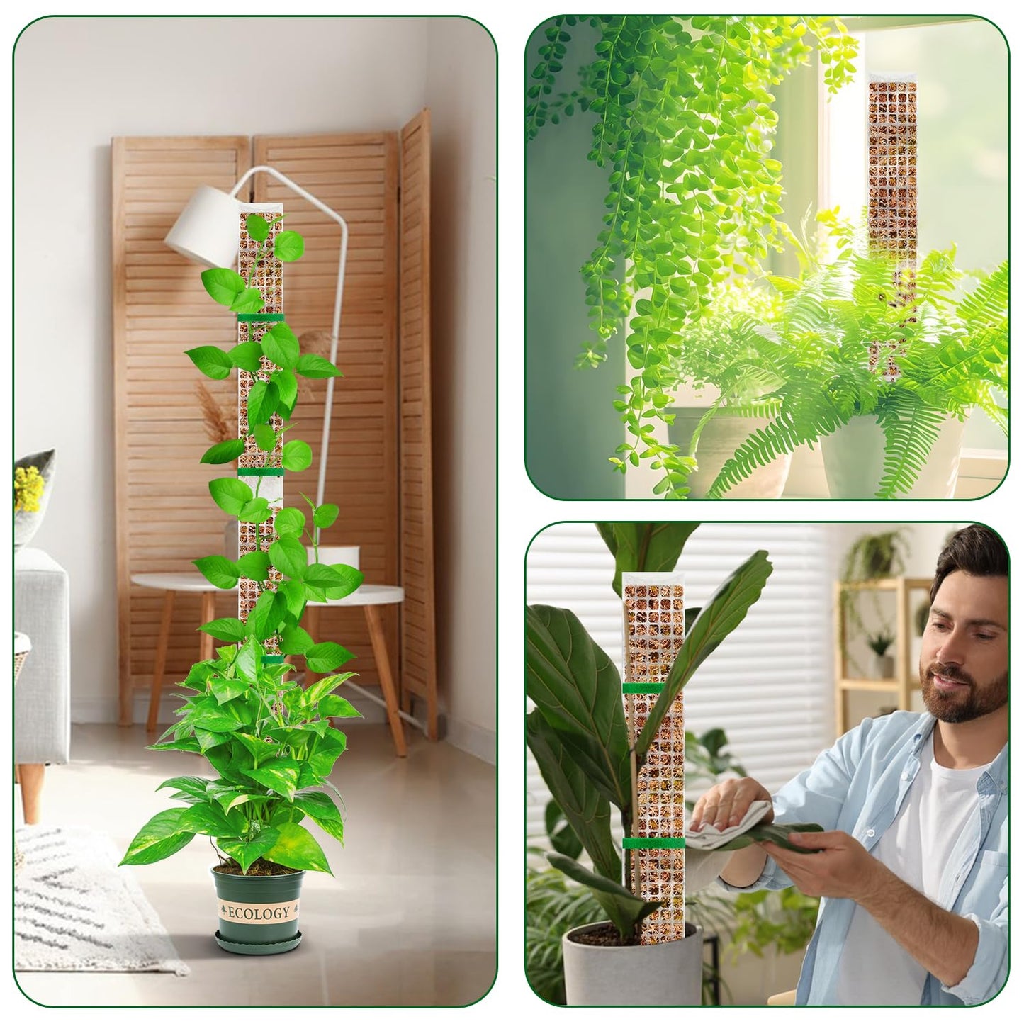 YSKS 4 Pcs 24-inch Plastic Moss Poles for Plants ,Moss Poles for Climbing Plants, Indoor Plant Support Work with Sphagnum muss