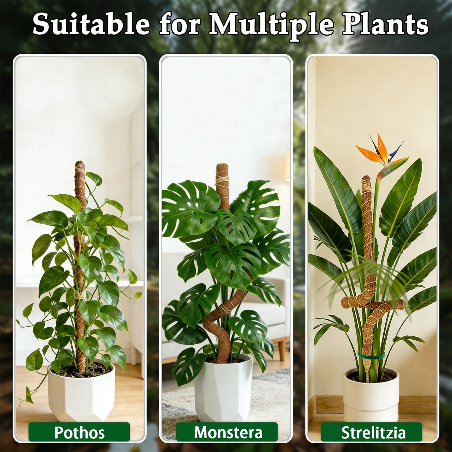Eralivmart 2 Pack 48 Inch Monstera Plant Support Bendable Moss Pole for Climbing Indoor Plants 7mm Strong Aluminum Core Support Stakes Tall Plant Stake Kit for Potted Plants Pothos Philodendron