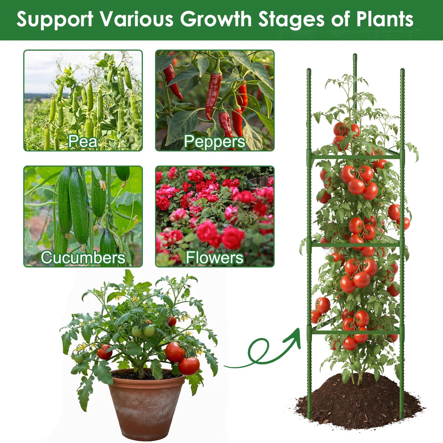 CEWOR Tomato Cage - 3 Pack Tomato Cages for Garden, Up to 51.2" Tall Tomato Trellis Plant Support Garden Stakes, Adjustable Vegetables Structures for Pots, Raised Garden Bed, Climbing Plants Outdoor