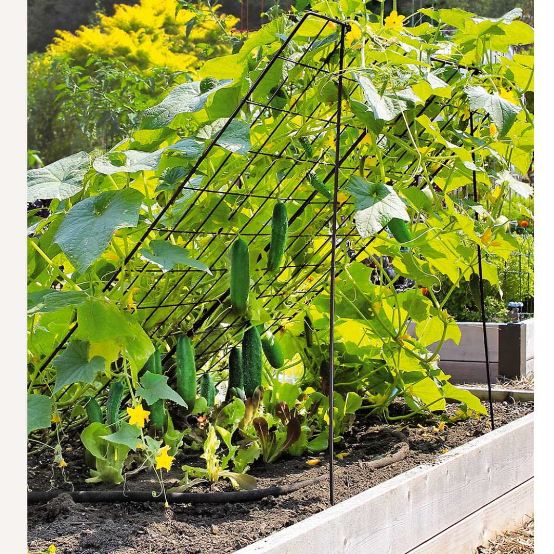 Gardeners Supply Company Sturdy Large Cucumber Trellis Support | Foldable Tough Metal Frame for Outdoor Climbing Plants Support | Best for Easy Harvesting and Easy Installation - 48" W x 48" H
