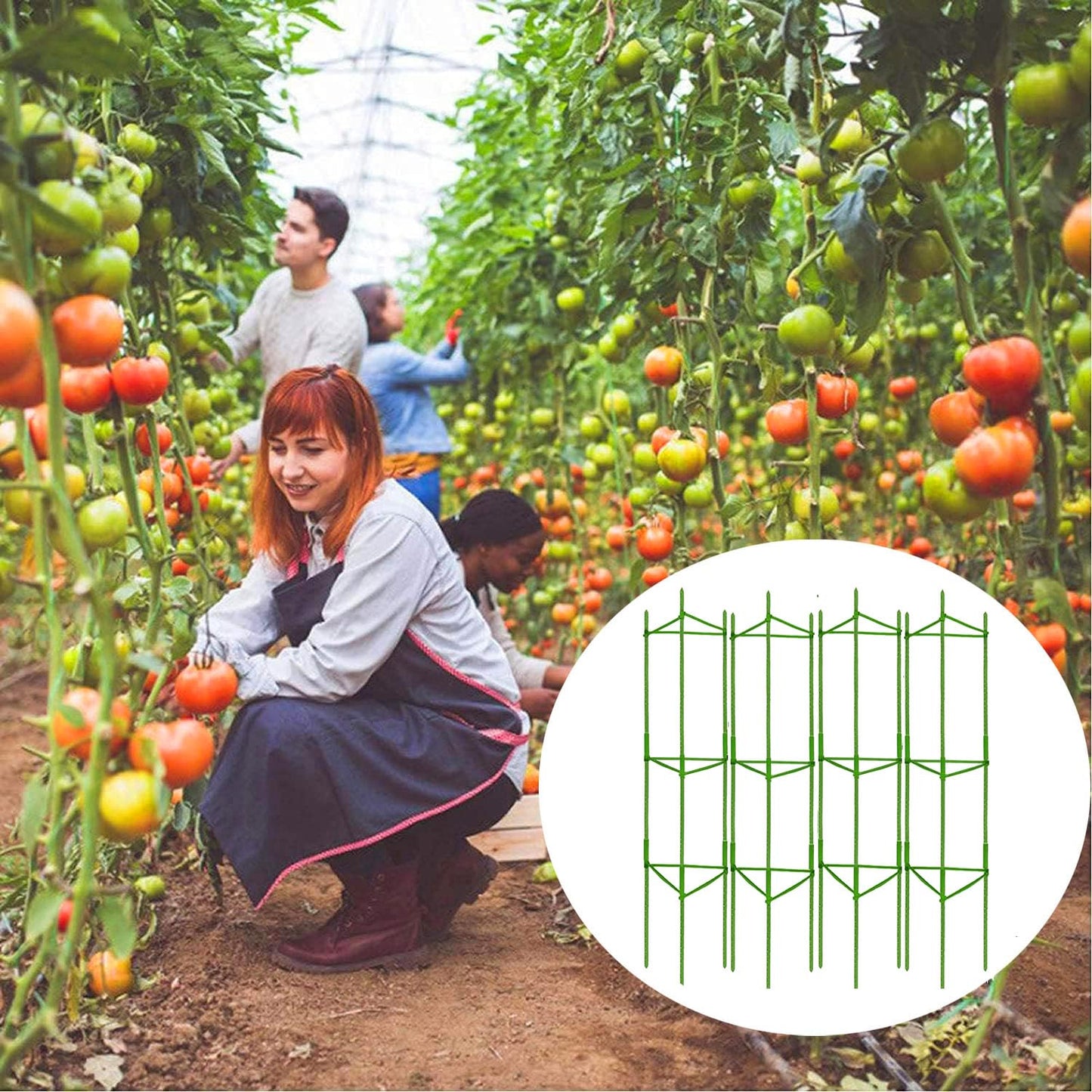 Moirsunt 4Pack Tomato Cage for Garden, 50.2Inch Multi-Functional Plant Support Stakes, Garden Stakes Tomato Trellis for Raised Garden Bed & Potted Plants, Tomato Cage Trellis for Climbing Plants