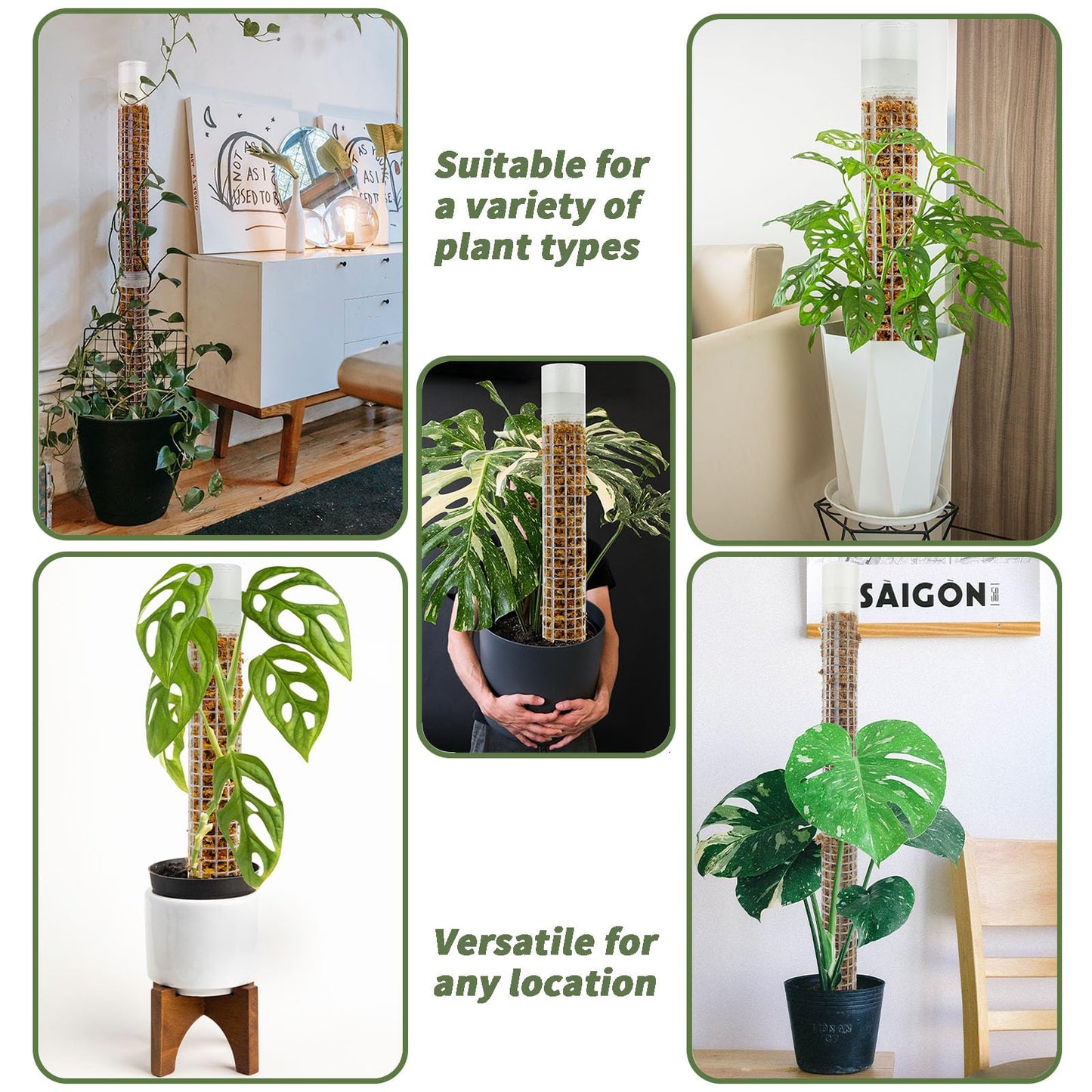 HYYZ Moss Pole 17.4 inch, 2 Pack Monstera Plant Support, Plastic Self-Watering, Stackable Design - Ideal for Medium to Large Plants