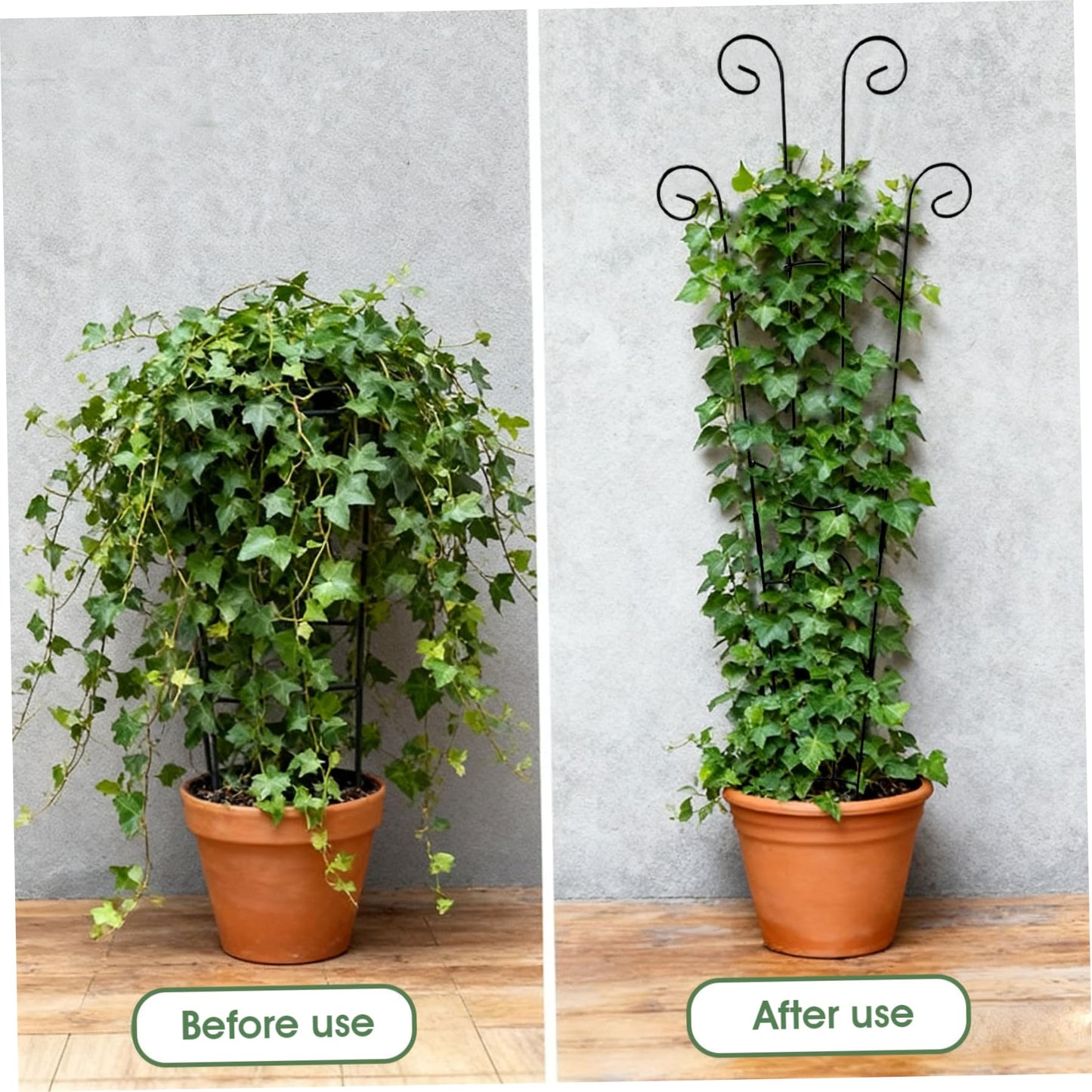 Trellis for Climbing Plants Indoor, 2 Pack Black Metal Trellis for Potted Plants, Adjustable Indoor Plant Support Monstera, Pothos, Ivy (32.7 Inch Tall)