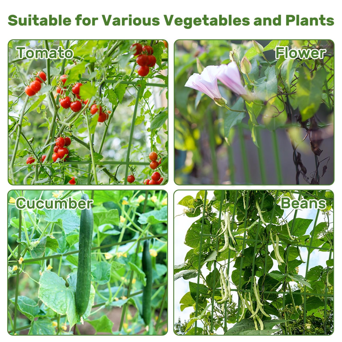DOEWORKS Cucumber Trellis, 48" High Foldable A Frame Garden Trellis, 2 Pack, Plant Support for Climbing Cucumber, Beans, Tomatoes, Flowers, Green