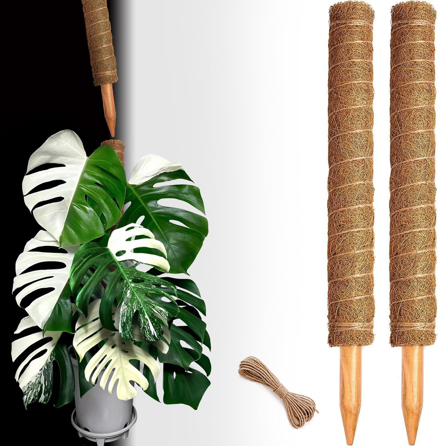 Moss Pole Set, Stackable Moss Poles for Climbing Plants Monstera, Tall Plant Sticks Accessories, Large Coir Plant Support Stakes for Potted Plants Indoor, Pothos, Philodendron