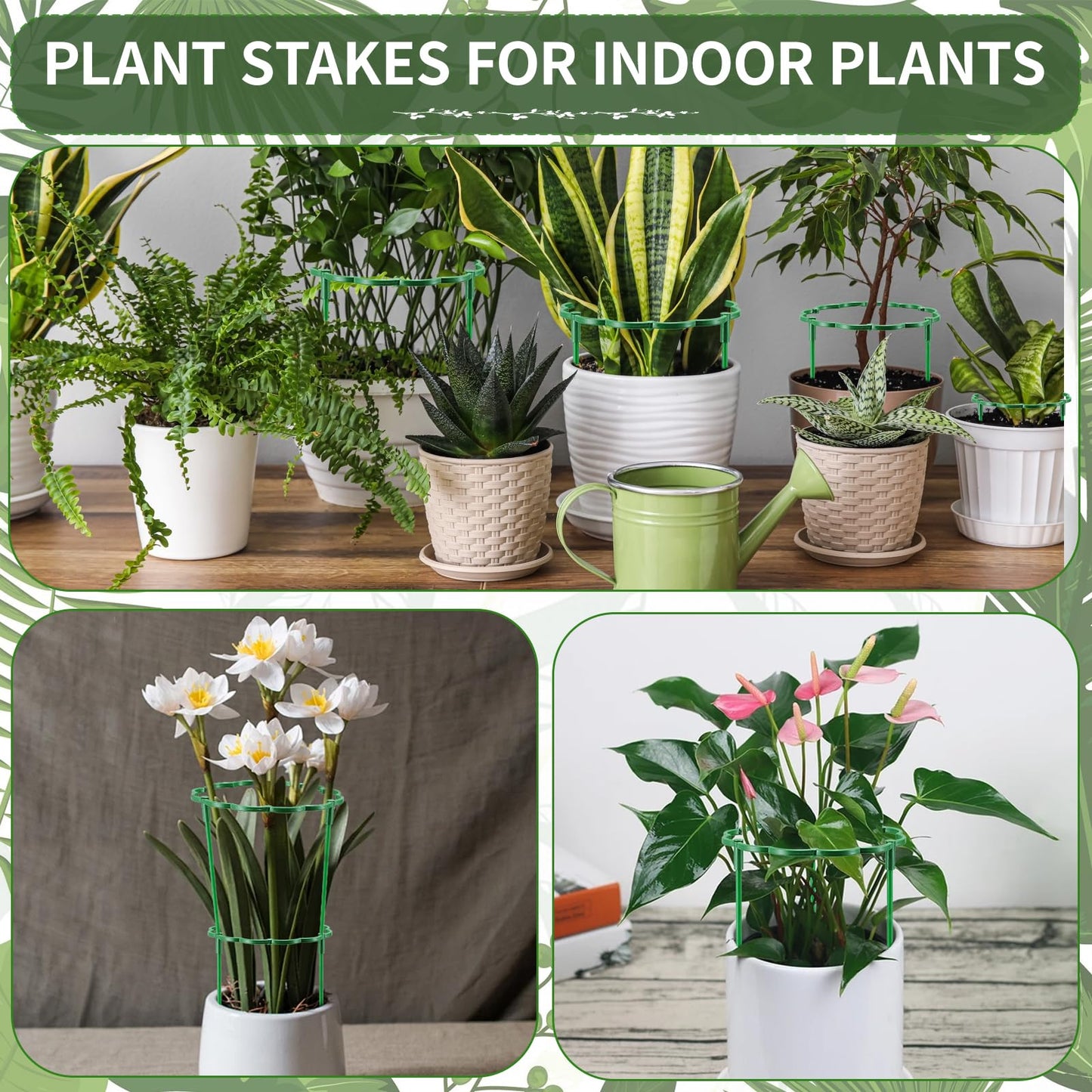 Moiggonoy 24 Pack Plant Support Stakes Sets - Versatile Plant Cages, Stackable Garden Flower Support, Small Plant Stakes for Indoor Plants,Tomato,Monstera, Peony, Hydrangea, Climbing Plants