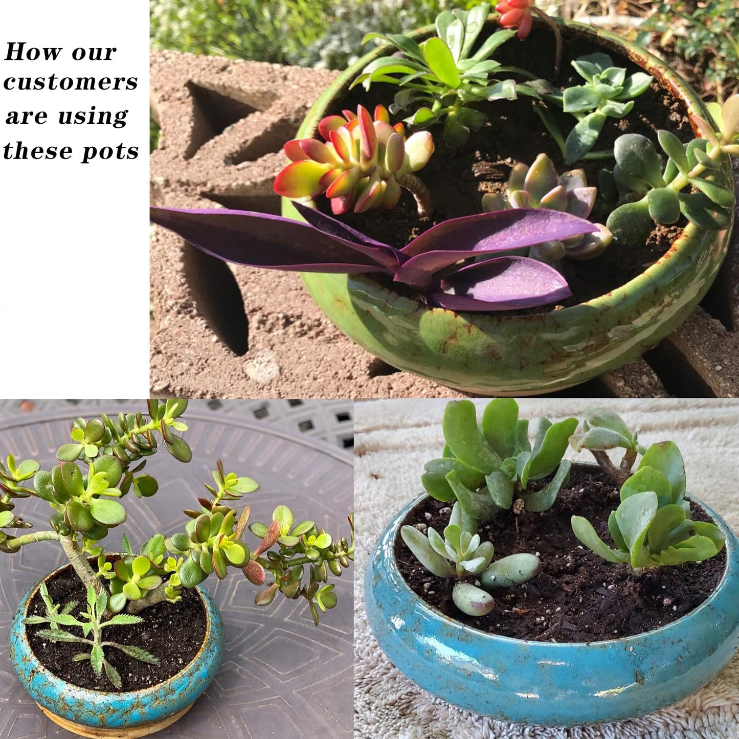 ARTKETTY Succulent Pots with Drainage, 2 Pack Large Succulent Planters Ceramic Bonsai Pot with Trays, 7.3 Inch Round Shallow Planters for Indoor Cactus Flower Plants