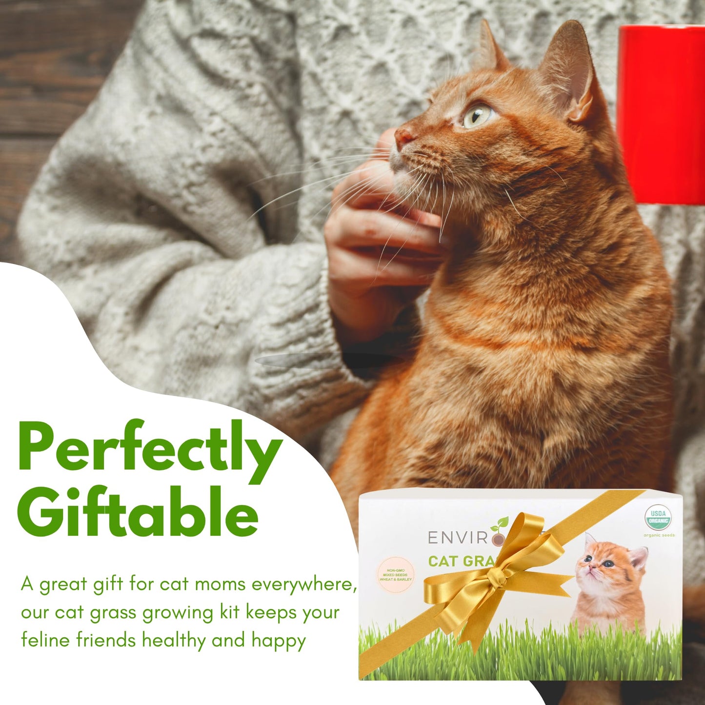 Environet Cat Grass Kit for Indoor Cat, Organic Grass Growing Kit with Seeds, Soil and Planting Tools, Quick Germination, Perfect for Beginners, 3-Pack Plastic Pots