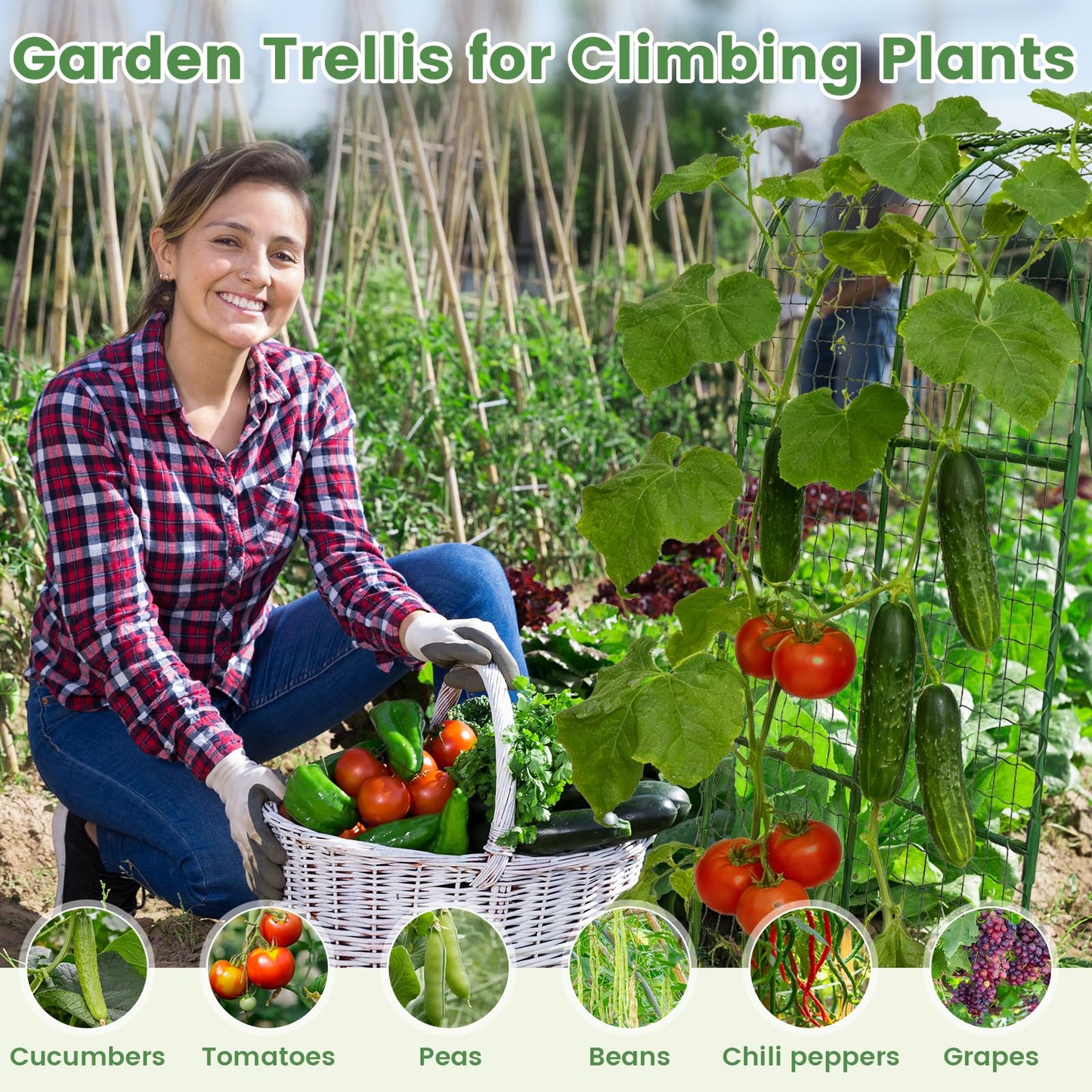 Cucumber Trellis, Metal Garden Arch Trellis for Raised Bed, 32 x 48inch U-Shape Garden Trellis for Climbing Plants Outdoor, Vegetables Fruit Plant Support with Netting, Gardening Supplies (Green)