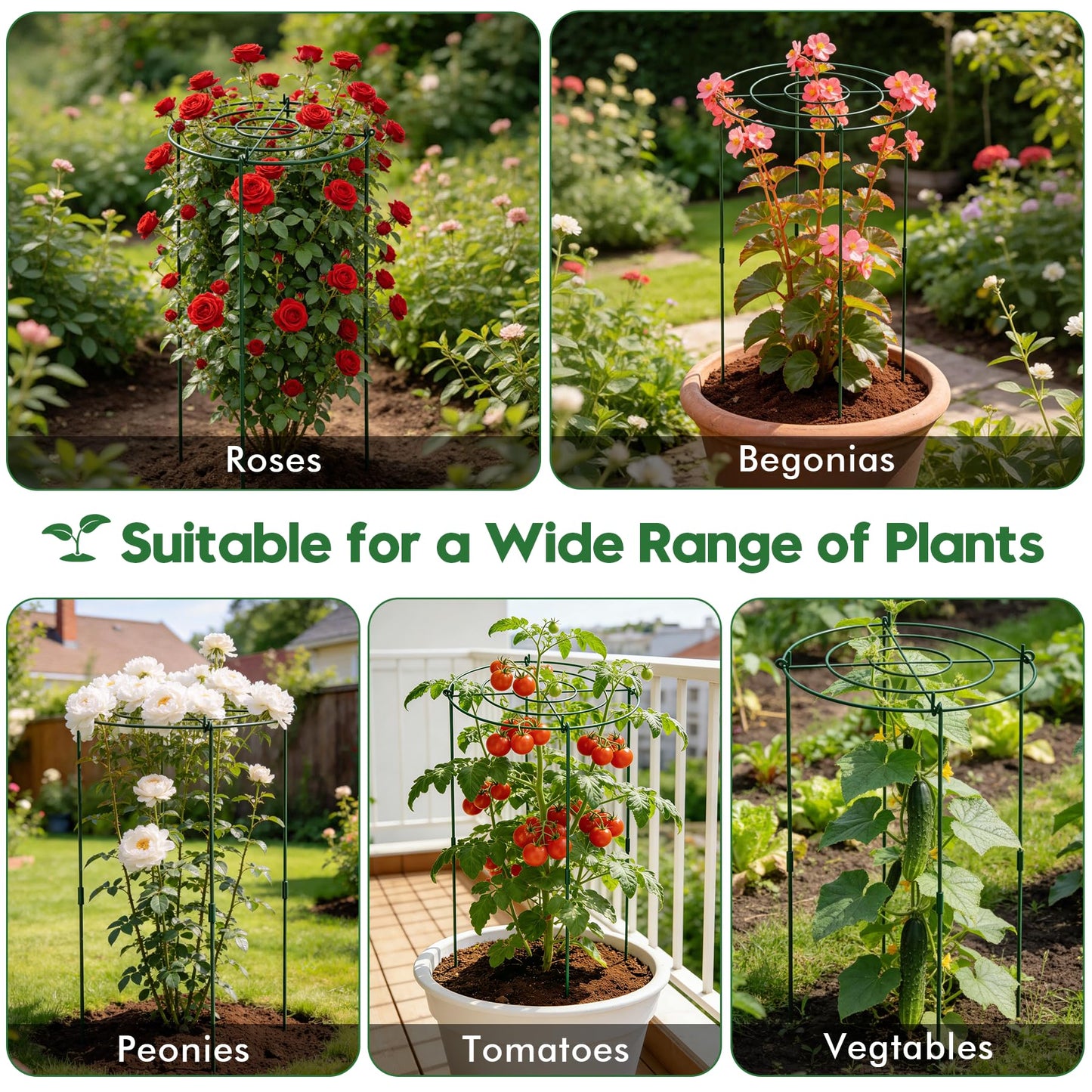 KEOHOLI 8 Pack 11.5" Dx24 H Pack Peony Cages Set Higher Peony Cages and Supports Heavy Duty Metal Plants Support Cage for Outdoor Green Support Rings for Flower Strawberry Tomato Hydrangeas