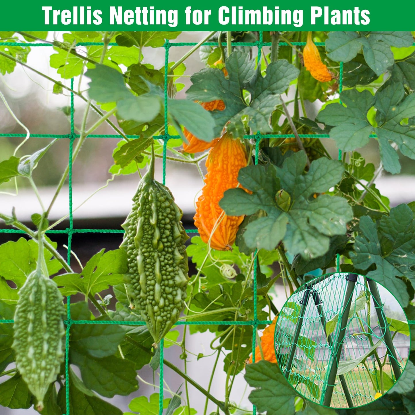 Unves Trellis Netting, 26.2 x 6.6 Ft Garden Trellis for Climbing Plants, 27 Strands & 4x4 Inch Mesh Plant Net for Tomato, Cucumber, Heavy Duty Net for Vegetables, Fruits, Grapes, Bean