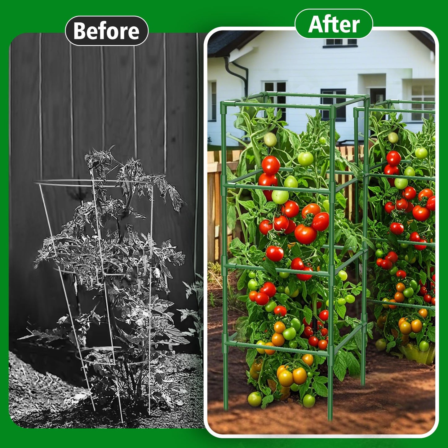 SHCCPPJ 3 Pack Tomato Cages, 42 Inch Heavy Duty Square Tomato Cage for Raised Garden Bed, Rust-Proof Sturdy Tall Tomato Trellis Supports for Climbing Plants Outdoor with Clips Wire