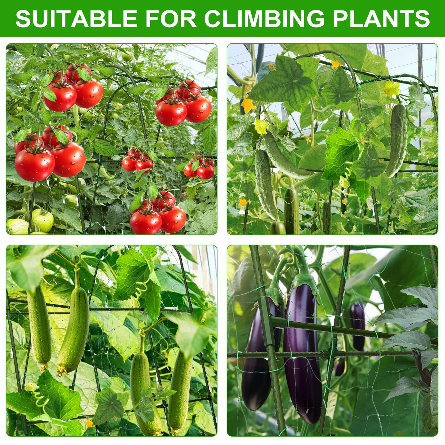 TIUIRE Cucumber Trellis for Raised Beds & Gardens - Sturdy Arch Trellis for Climbing Plants, Tomatoes, Peas & & Beans | Outdoor Vegetable Support for Vines (63" Lx30 W x47.2 H)